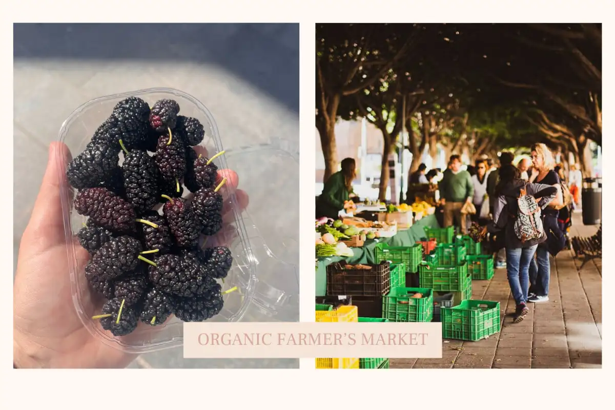 Organic produce stalls at the Guadalhorce farmers market Málaga