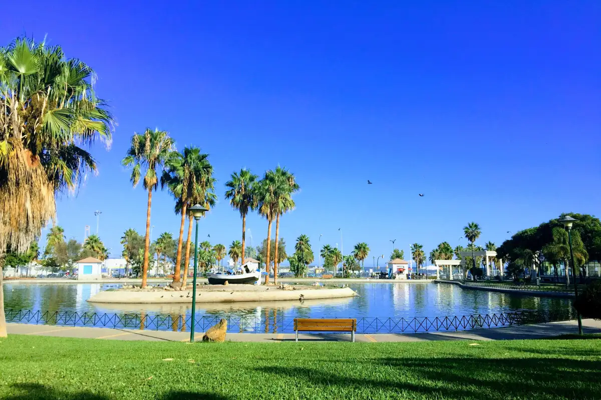 Palm-lined park and lake in the Huelin neighbourhood of western Malaga