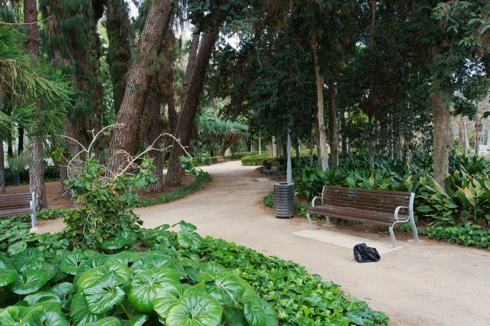 People walking through the palm-lined Paseo del Parque in Malaga