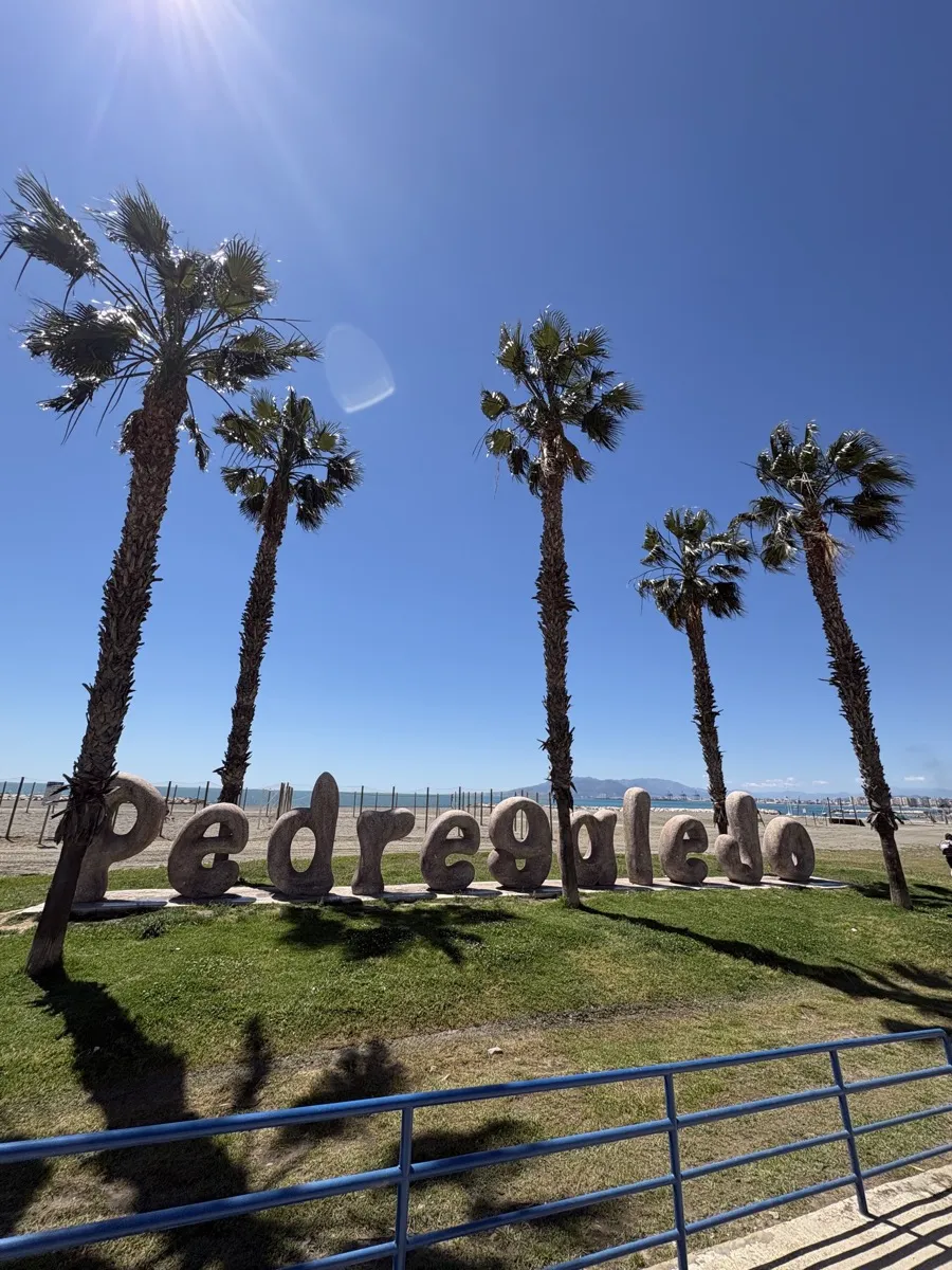 The big stone Pedregalejo letters on the grass by the beach, five tall palm trees above them and the sea and the far side of the bay behind