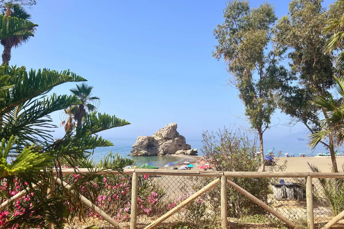 View through tropical plants to the rocky sea stack at Playa del Peñón del Cuervo