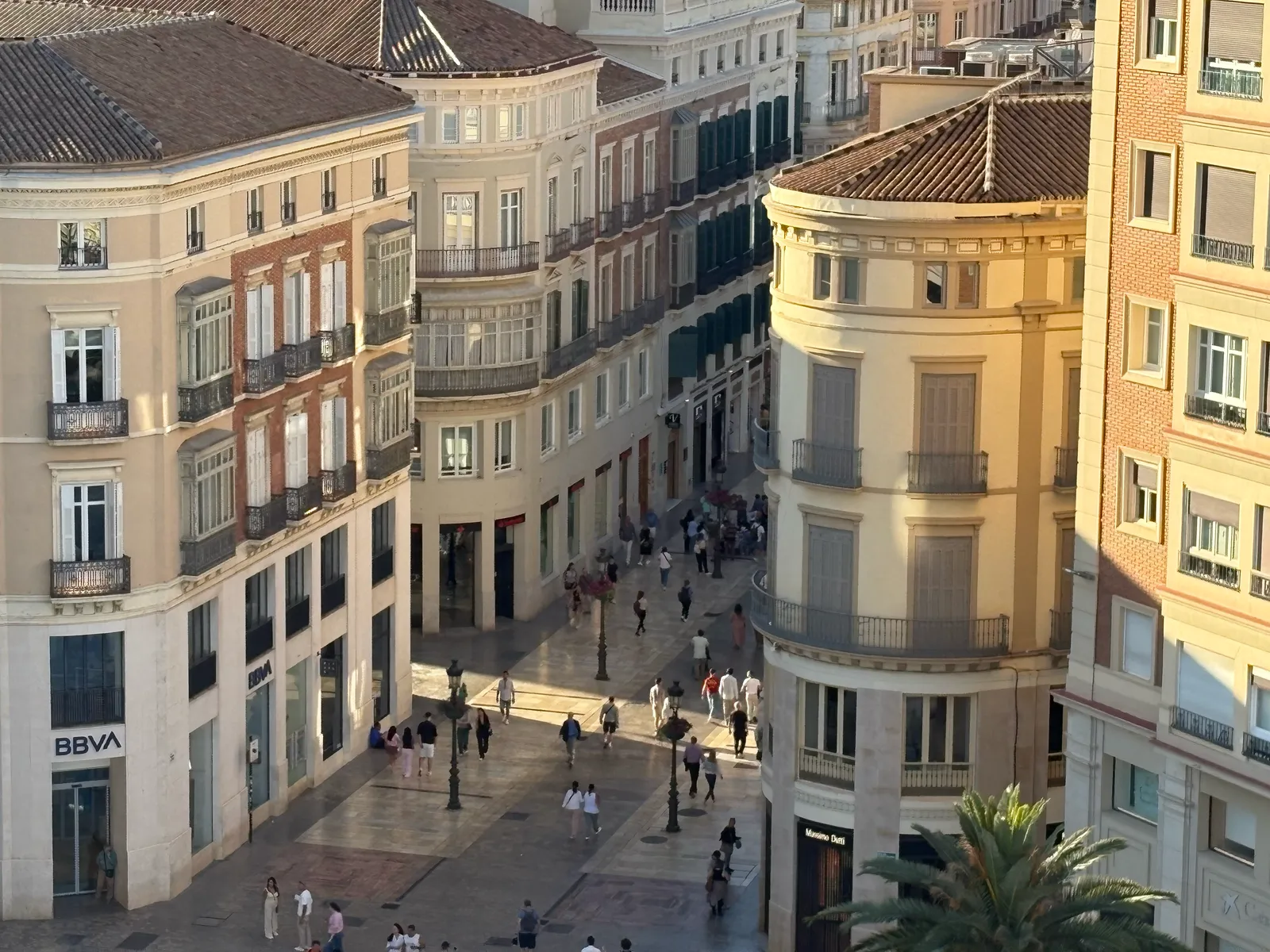 Plaza de la Merced in Málaga with its central obelisk, shaded trees and benches