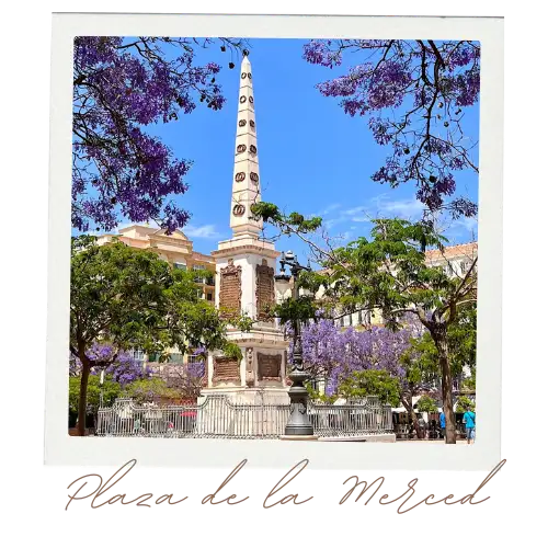 Plaza de la Merced in Malaga with palm trees and café terraces