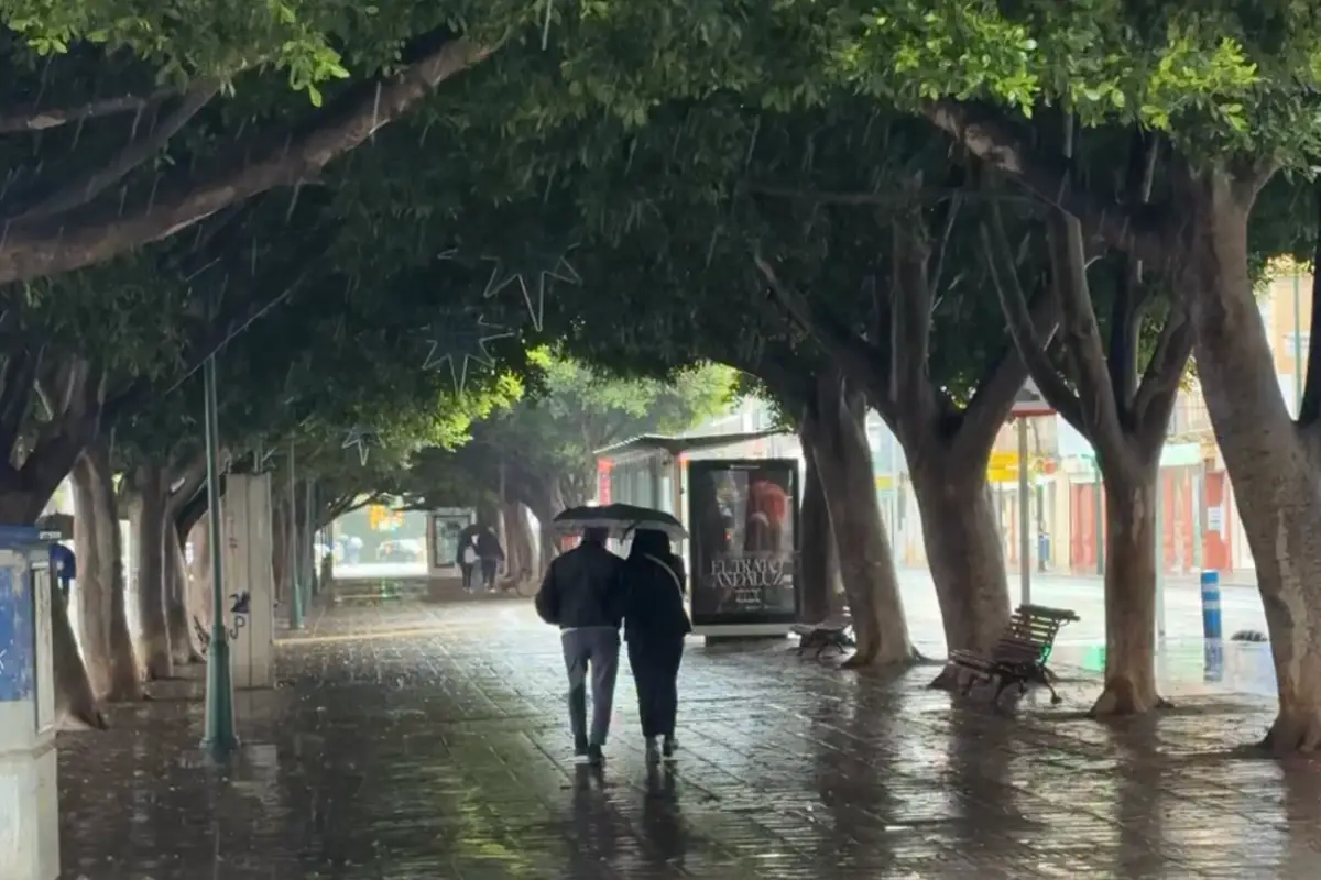 Couple with an umbrella walking under rain-soaked trees on a wet day in Málaga