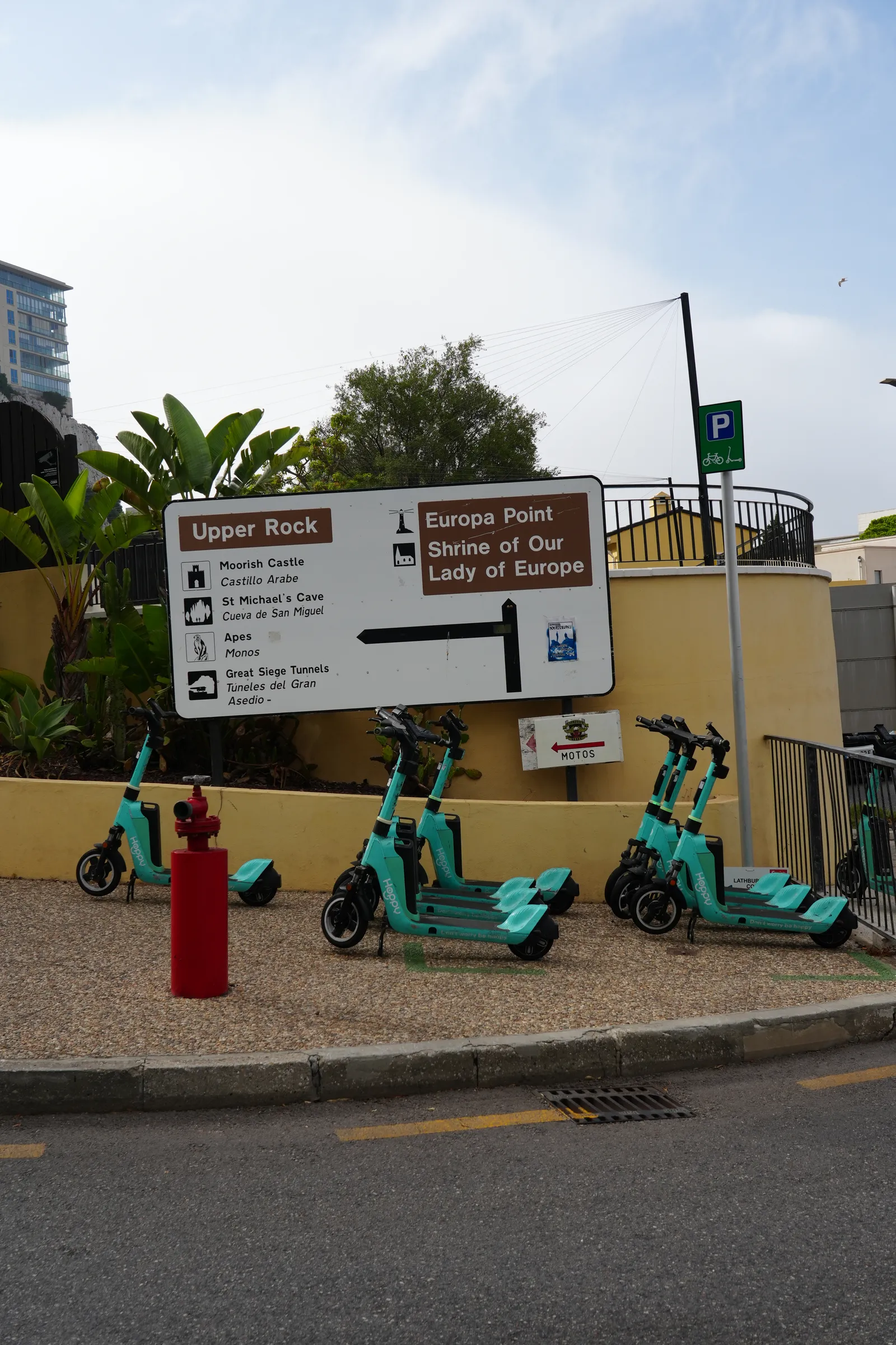 Electric scooters parked on a Malaga street