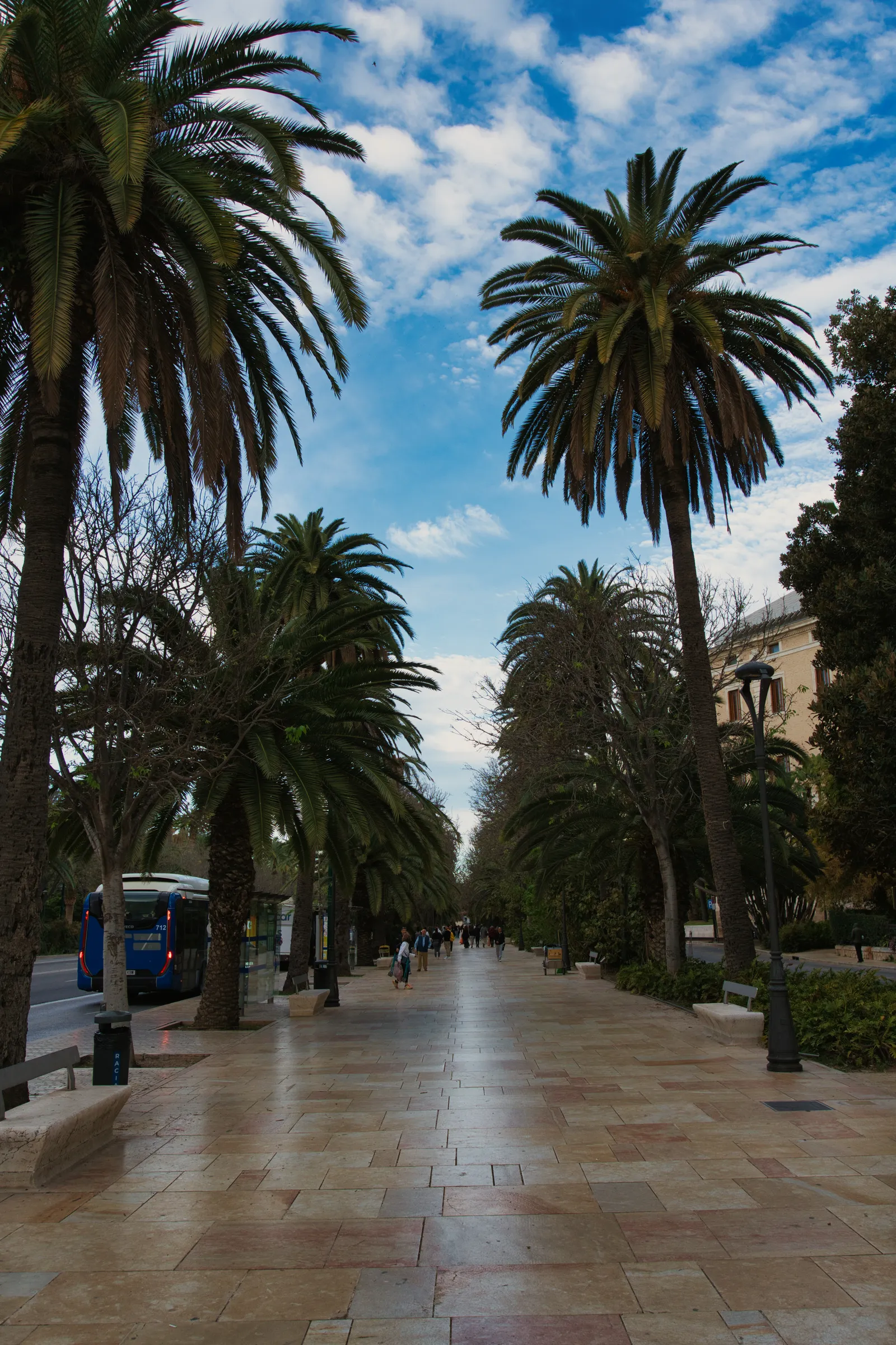 Paseo del Parque in Málaga, a wide palm-lined walkway with a city bus at the stop on the left