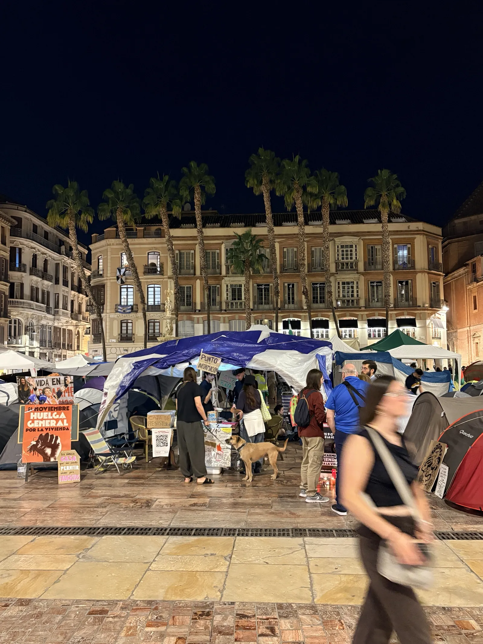 Housing protest camp at night in Plaza de la Constitución in Málaga, with tents, a blue tarp information point, an orange poster for a general strike on 11 November, people talking and a dog, under tall palm trees
