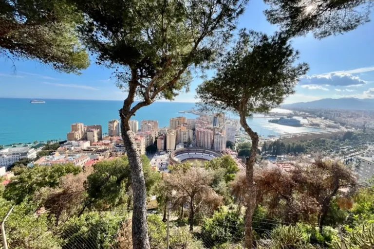 View over Málaga city and the bullring through pine trees from the Gibralfaro hill