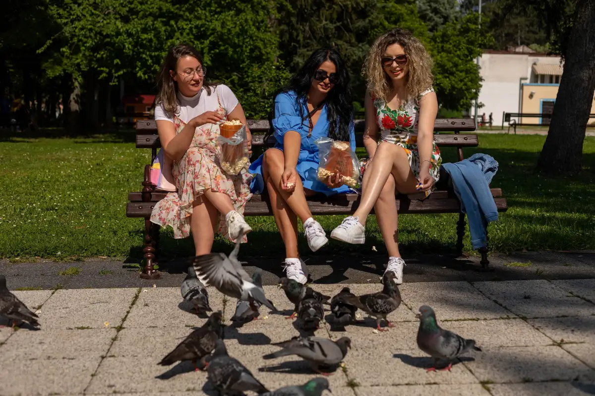 Pigeons gathered in Plaza de la Constitucion in Malaga city centre