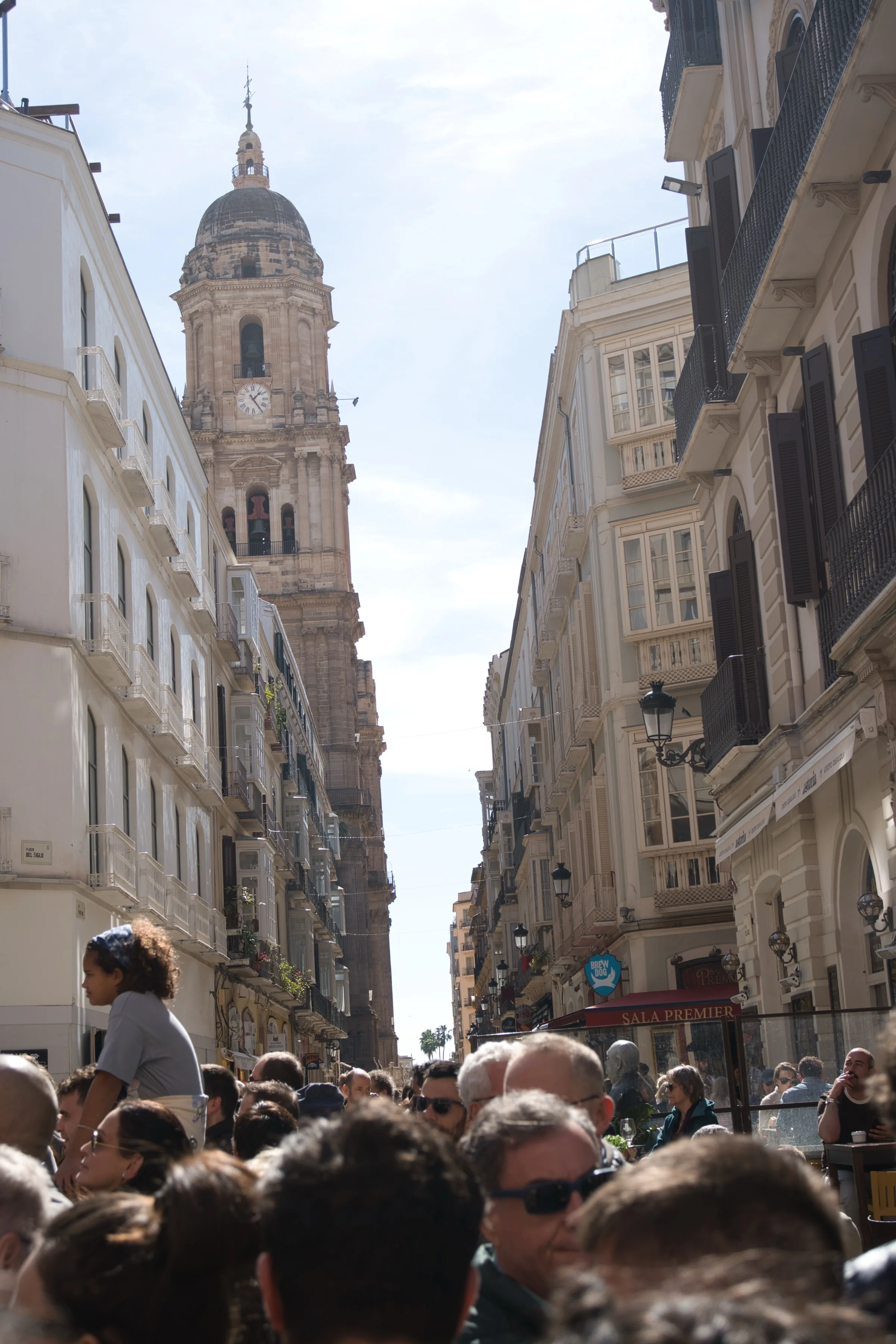 Malaga Cathedral tower rising above the rooftops of the old town
