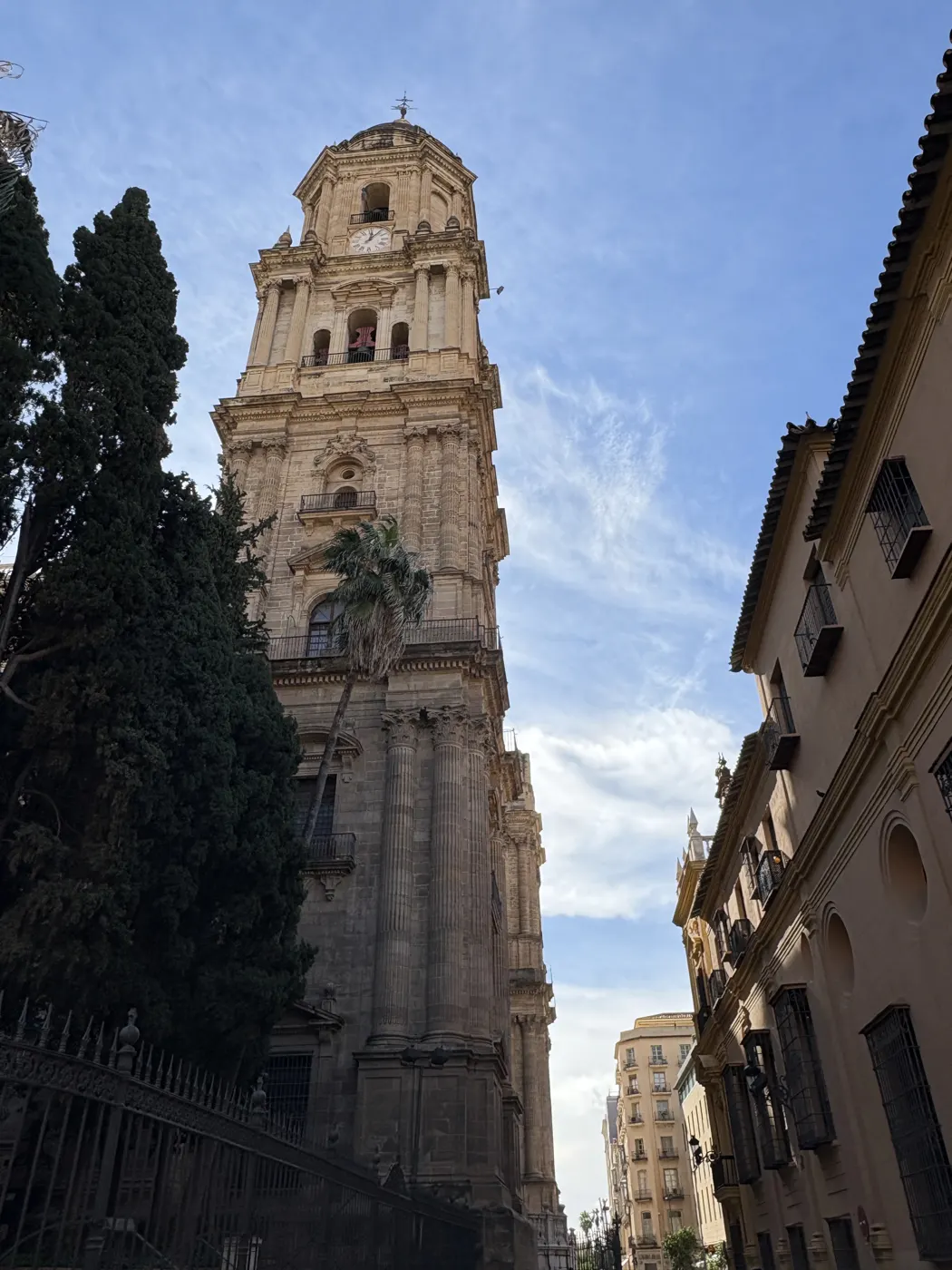 Málaga Cathedral's bell tower rising above a narrow Old Town street, framed by a cypress tree and palm