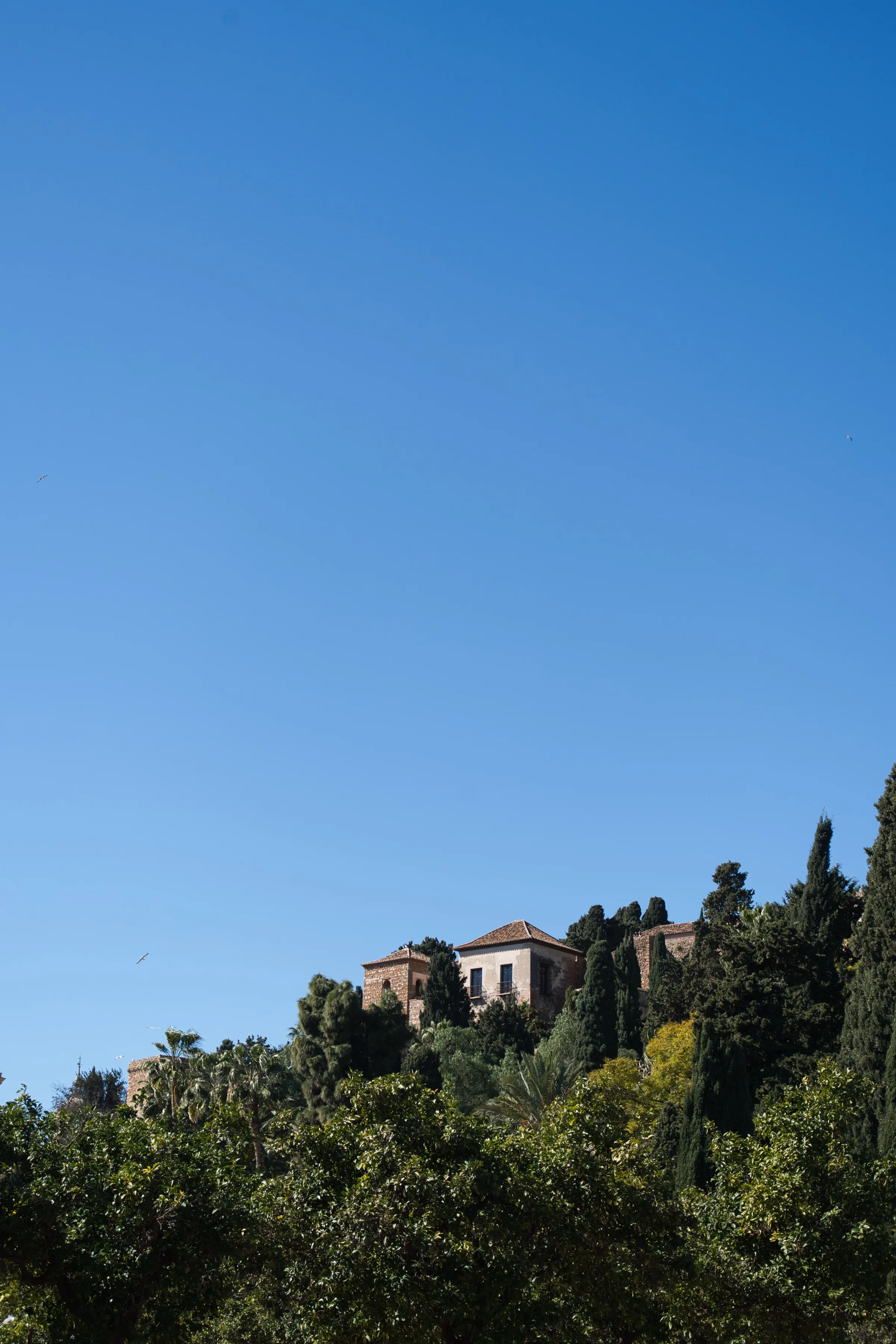 Gibralfaro Castle on the hillside viewed from below