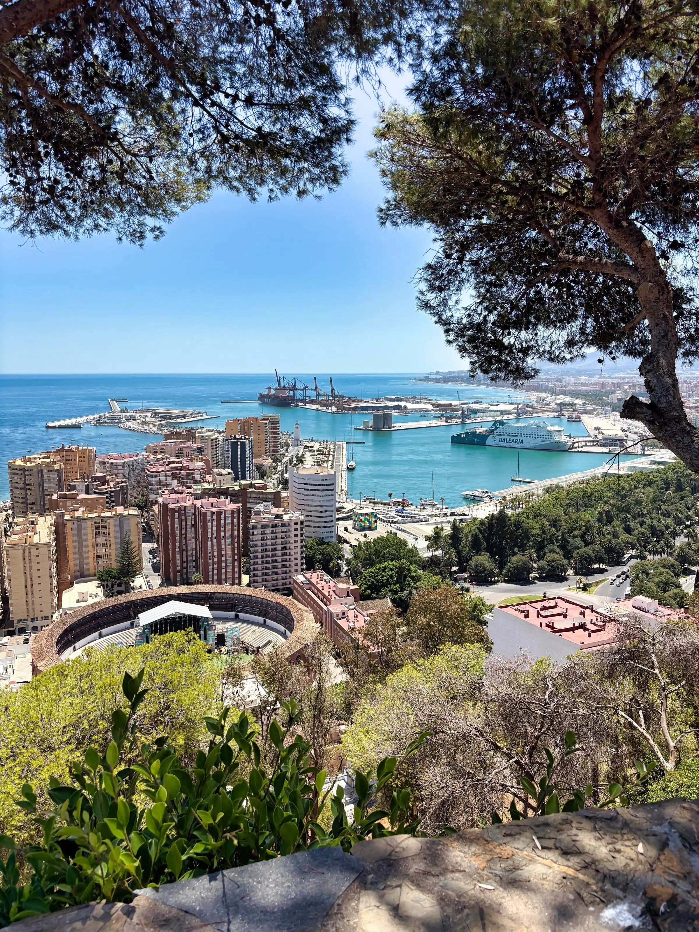 View of Malaga port and city from the Gibralfaro viewpoint framed by trees