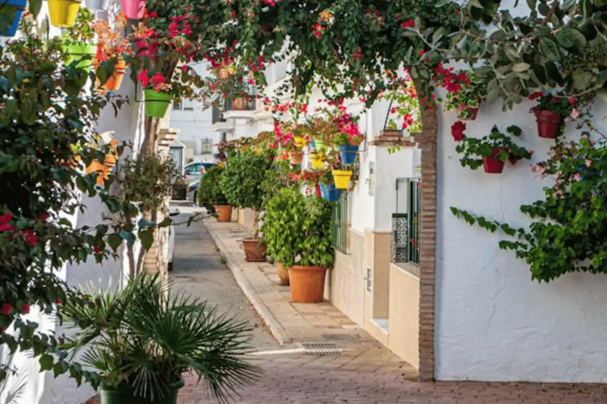 Marbella nightlife