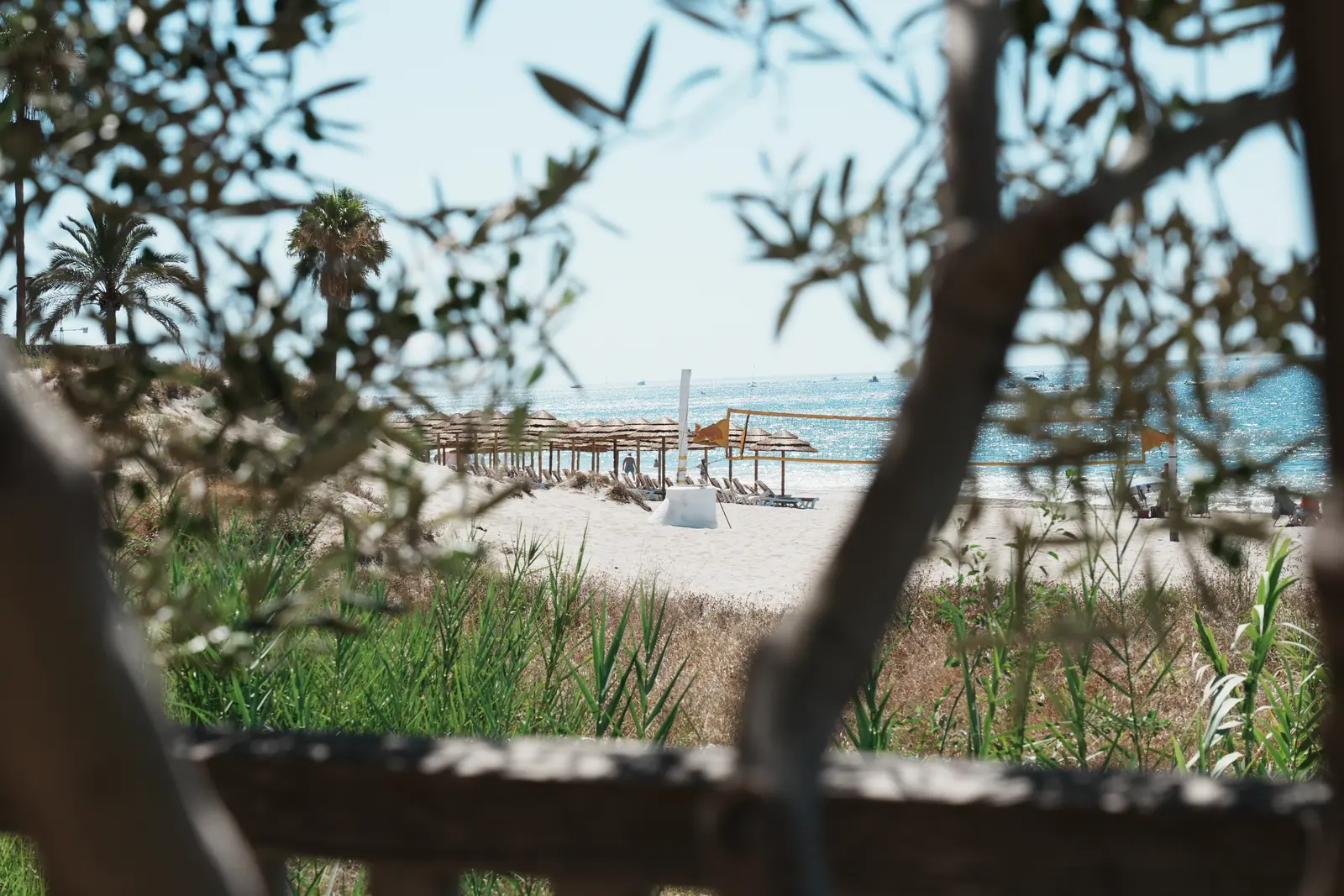 Beach view through trees in Marbella