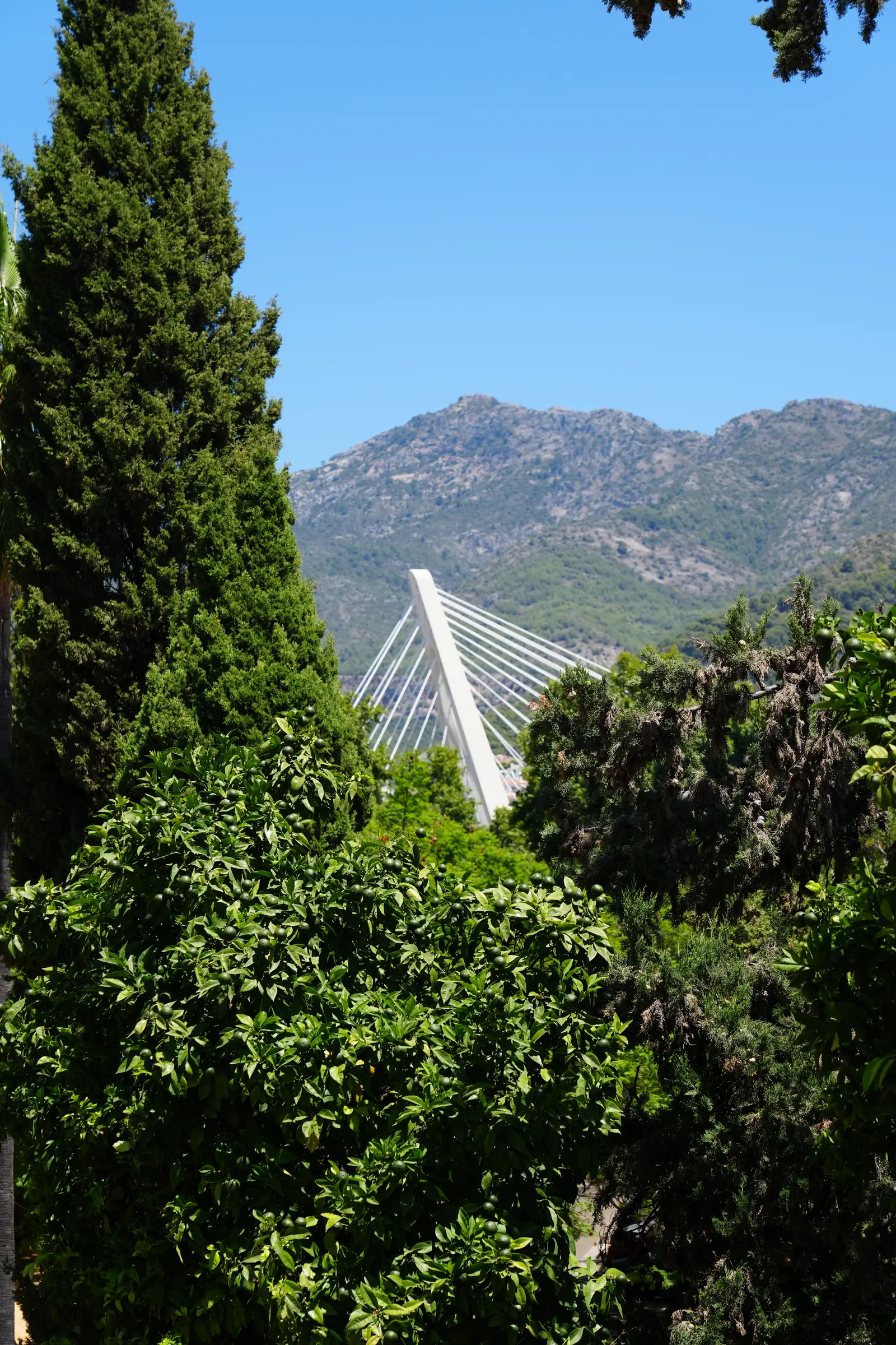 image of some trees, a bridge and a mountain in the distance.