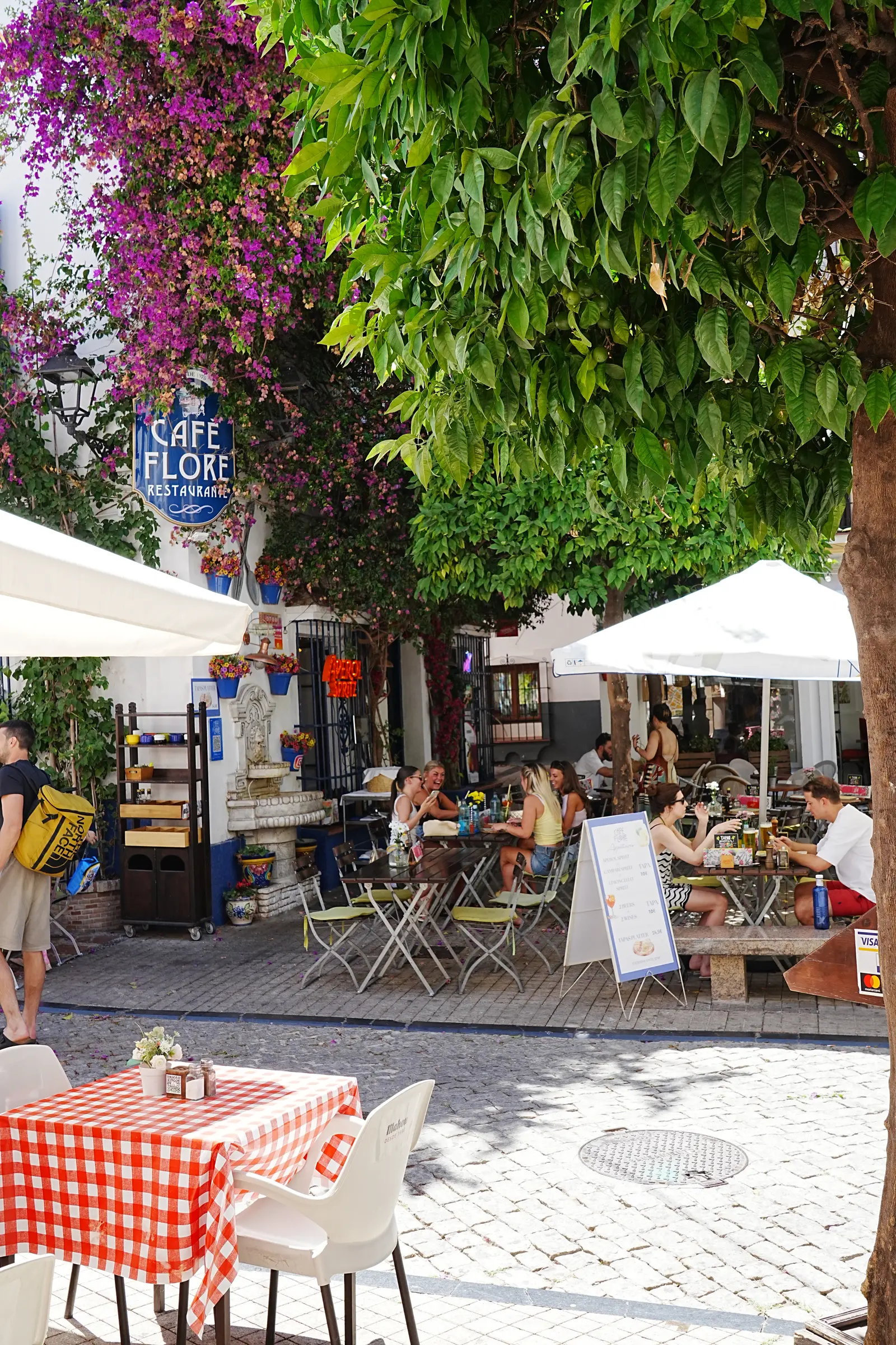 Diners sitting under a tree at a plaza cafe in Marbella
