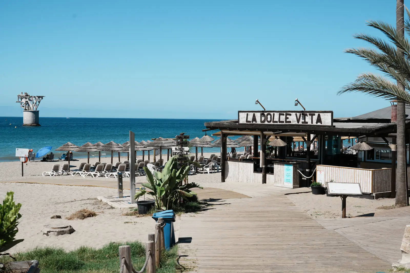 La Dolce Vita beach club and thatched sun loungers on the sand in Marbella