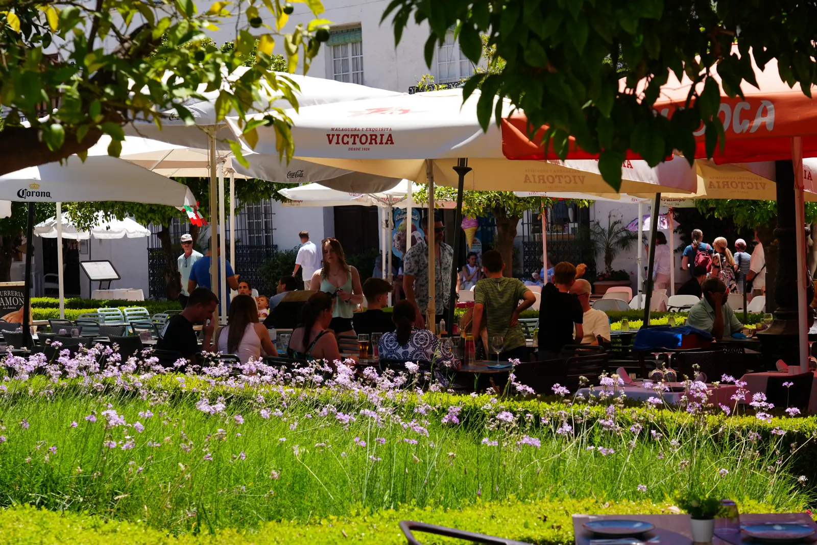 Plaza de los Naranjos in Marbella with flowers and greenery above the restaurant umbrellas