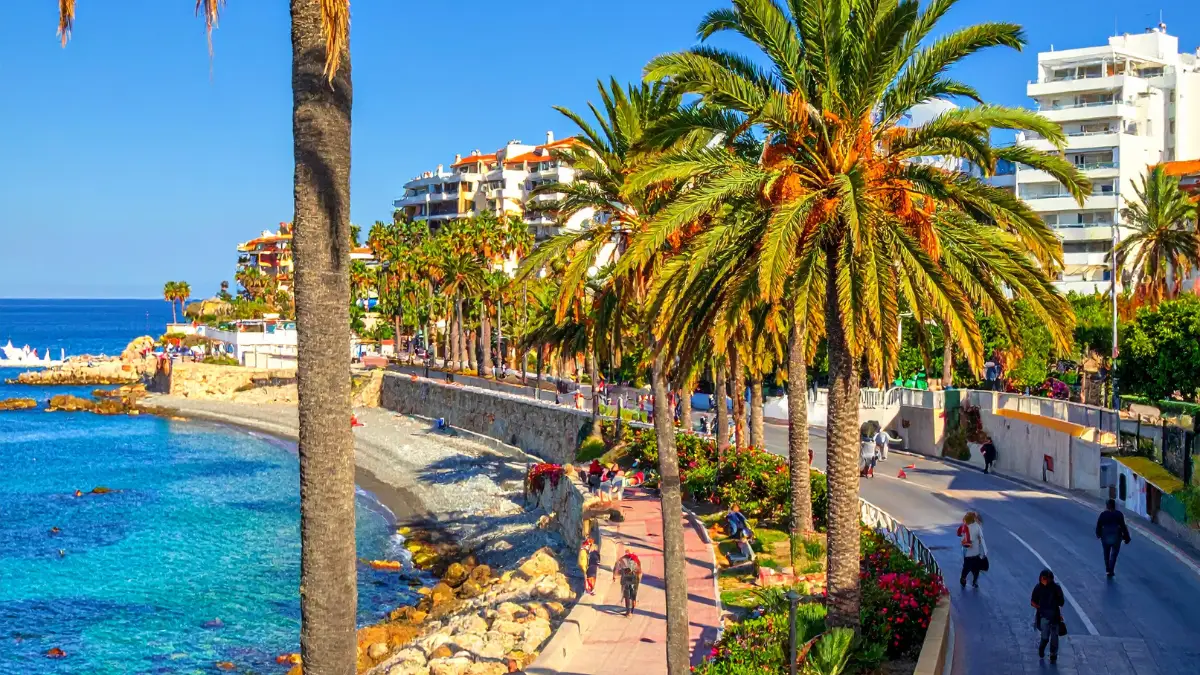 Palm-lined seafront promenade in Marbella with clear blue Mediterranean water