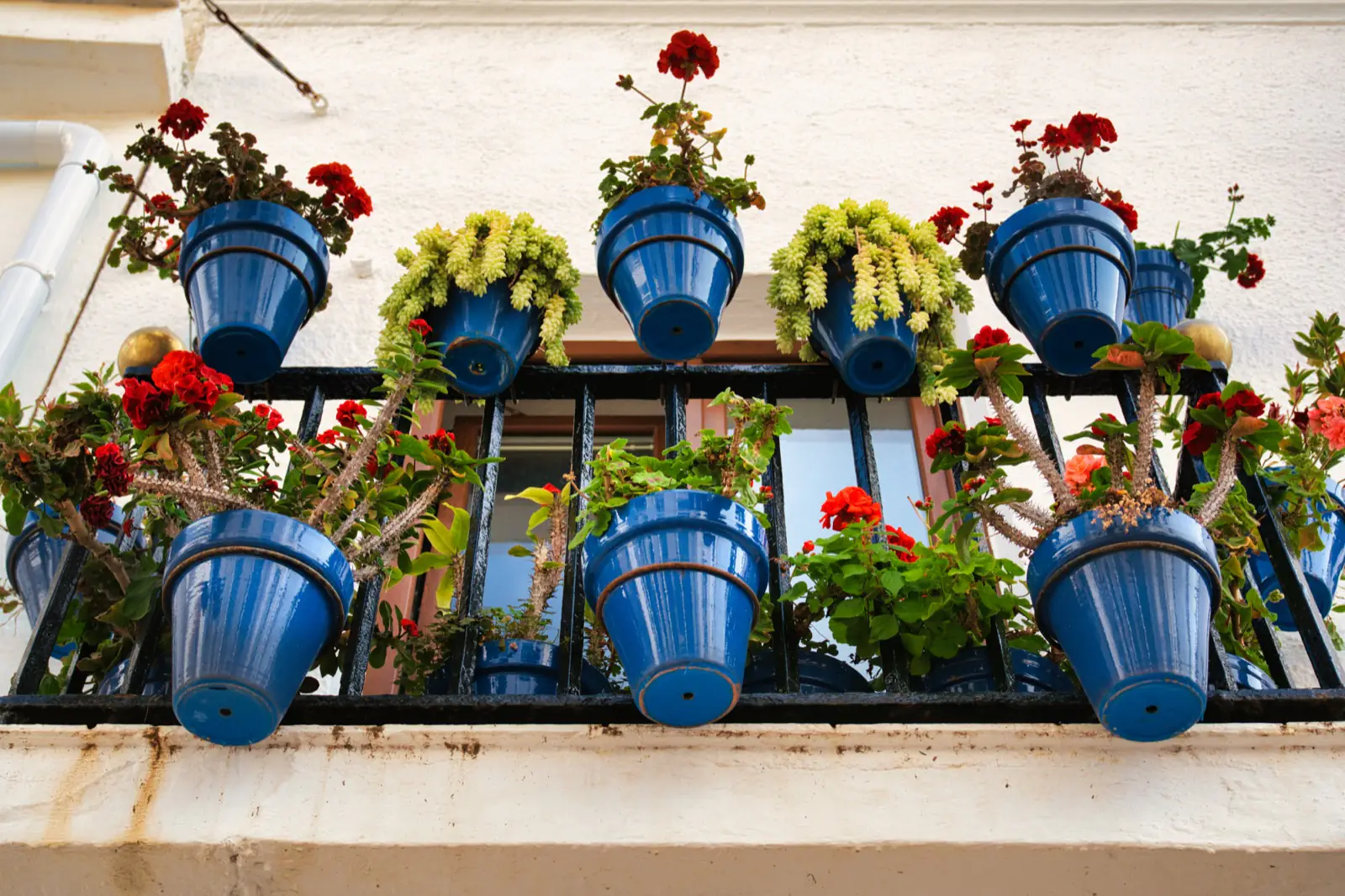 blue pots on a wall with colourful flowers on calle carabeo in Nera