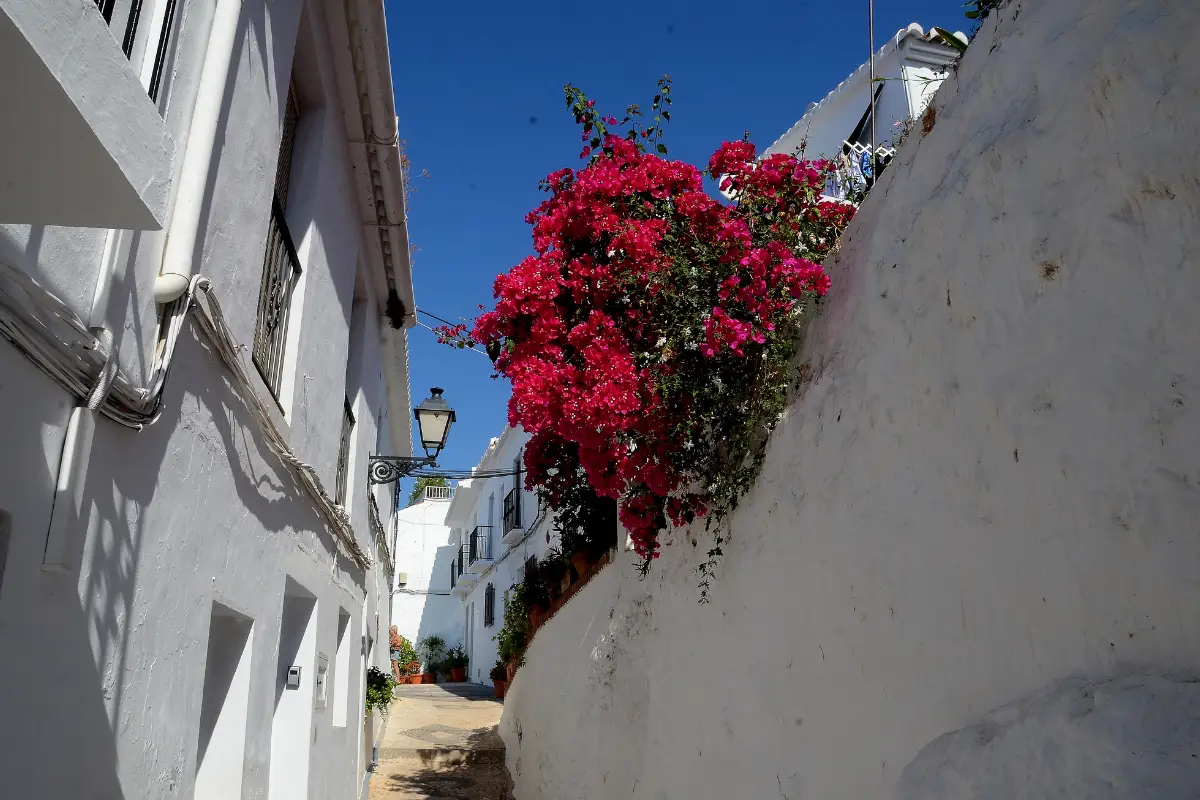 Whitewashed streets of Frigiliana village, a short drive from Nerja