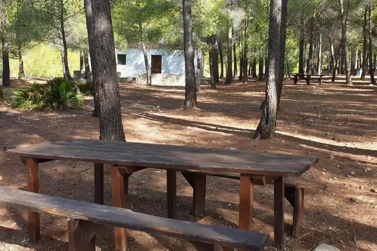 Shaded picnic area at Área Recreativa El Pinarillo, a pine-forest escape near Nerja