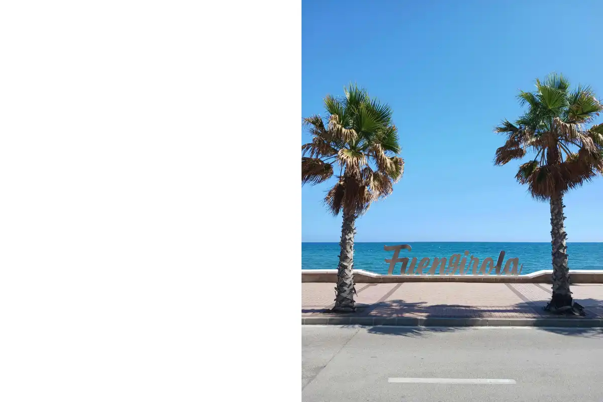 Palm trees in Fuengirola