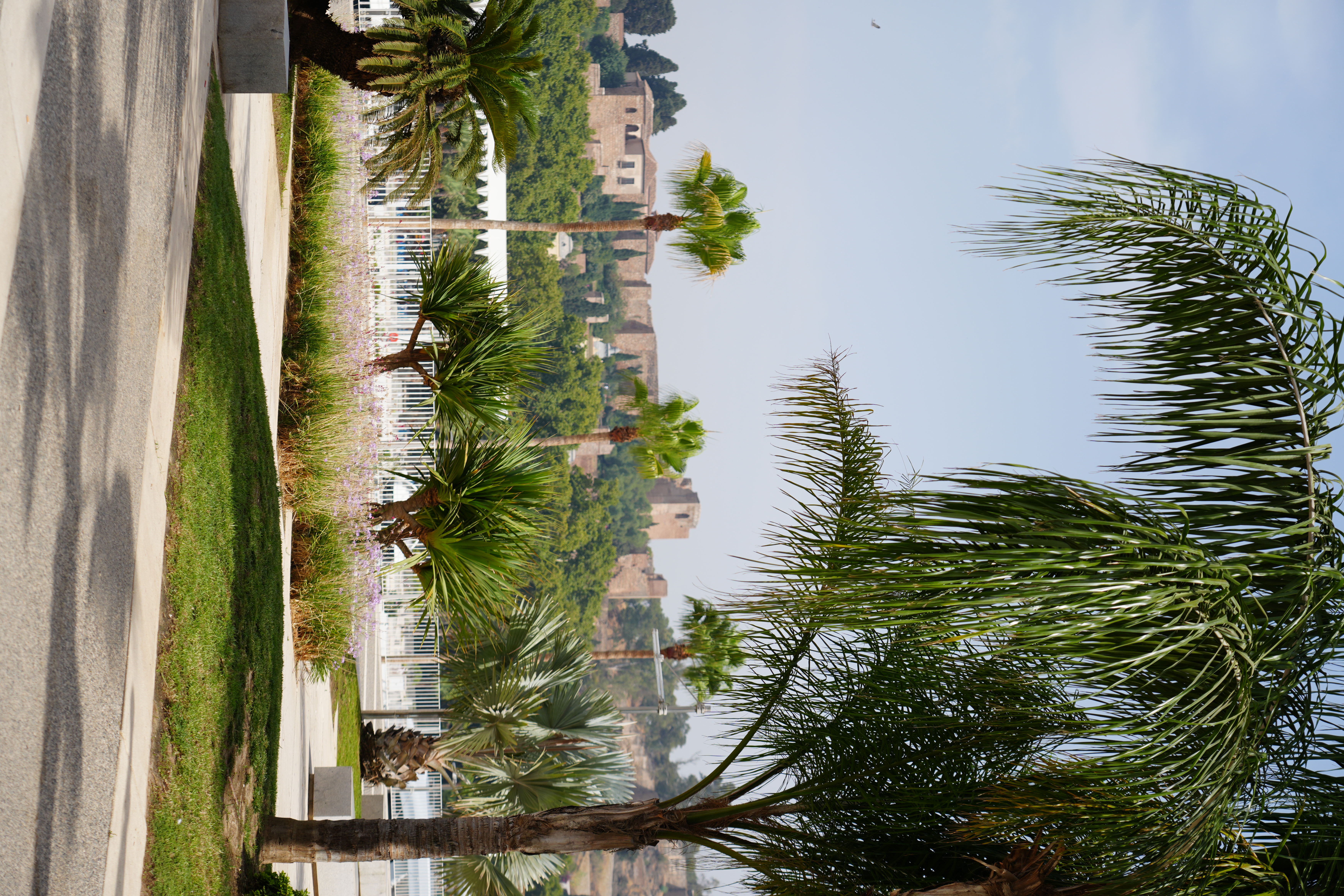 Palm-lined park path in Malaga with the Alcazaba hill in the distance