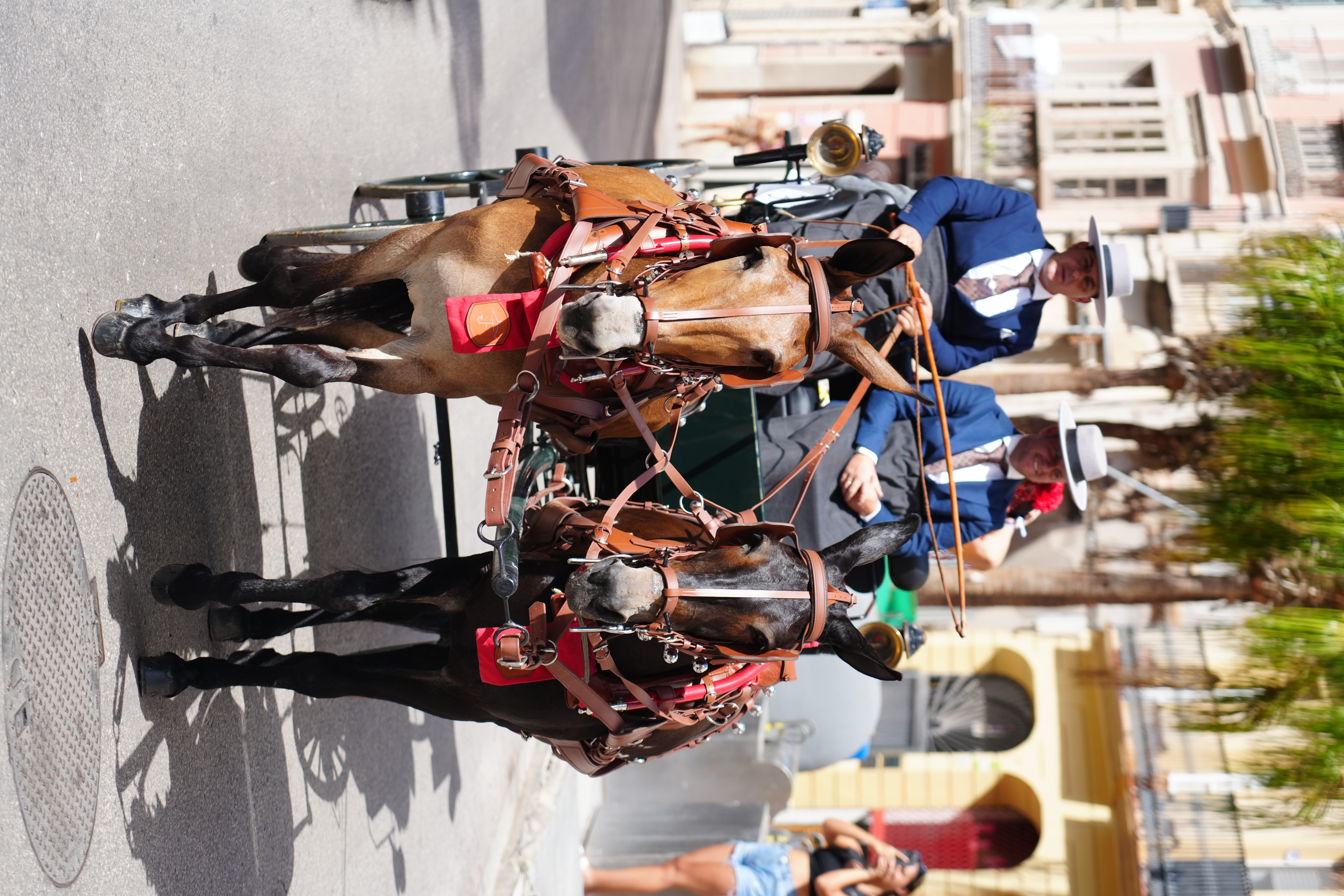 A horse-drawn carriage in a romeria procession through Malaga's streets