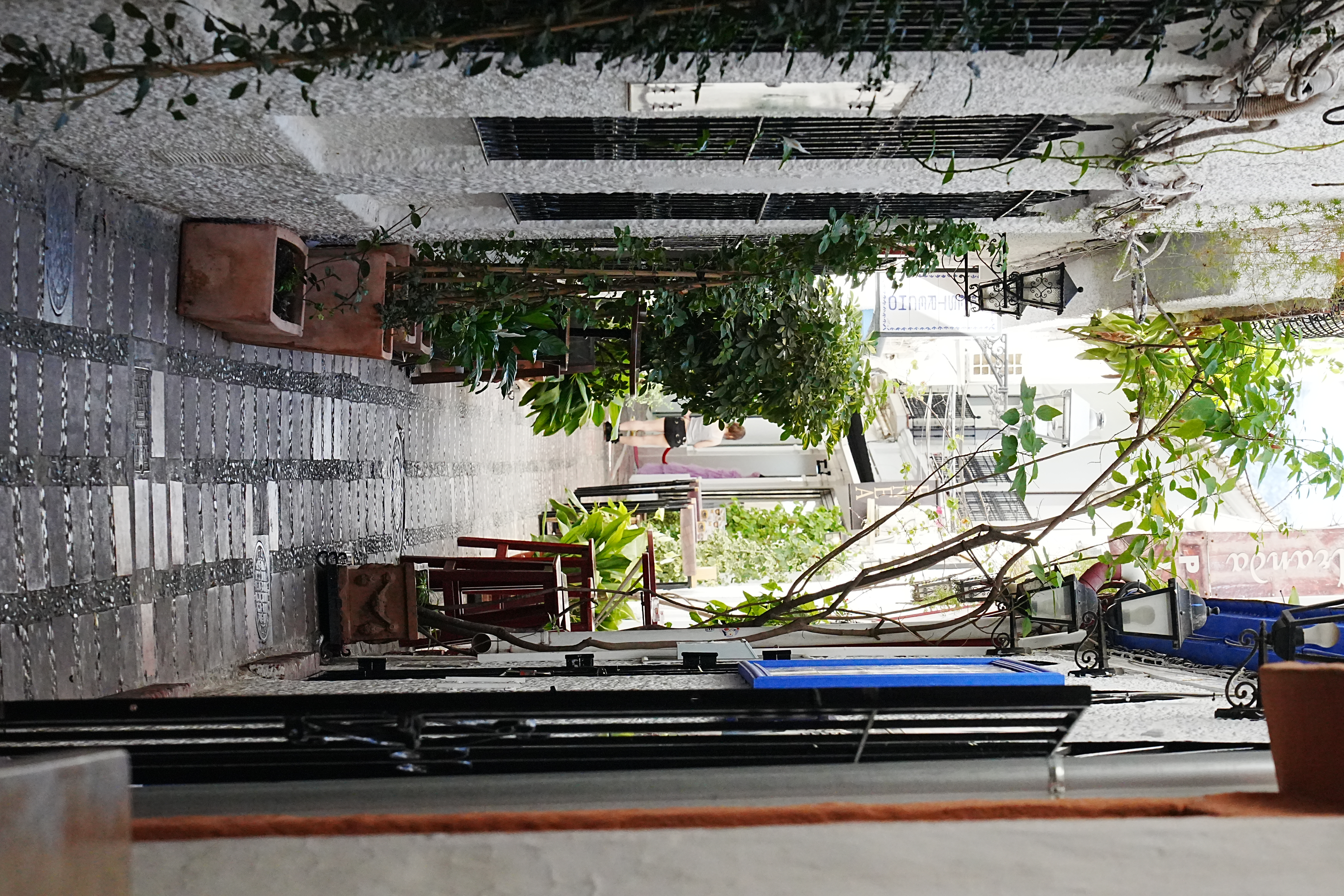 A shaded alley in Marbella's Old Town lined with potted plants