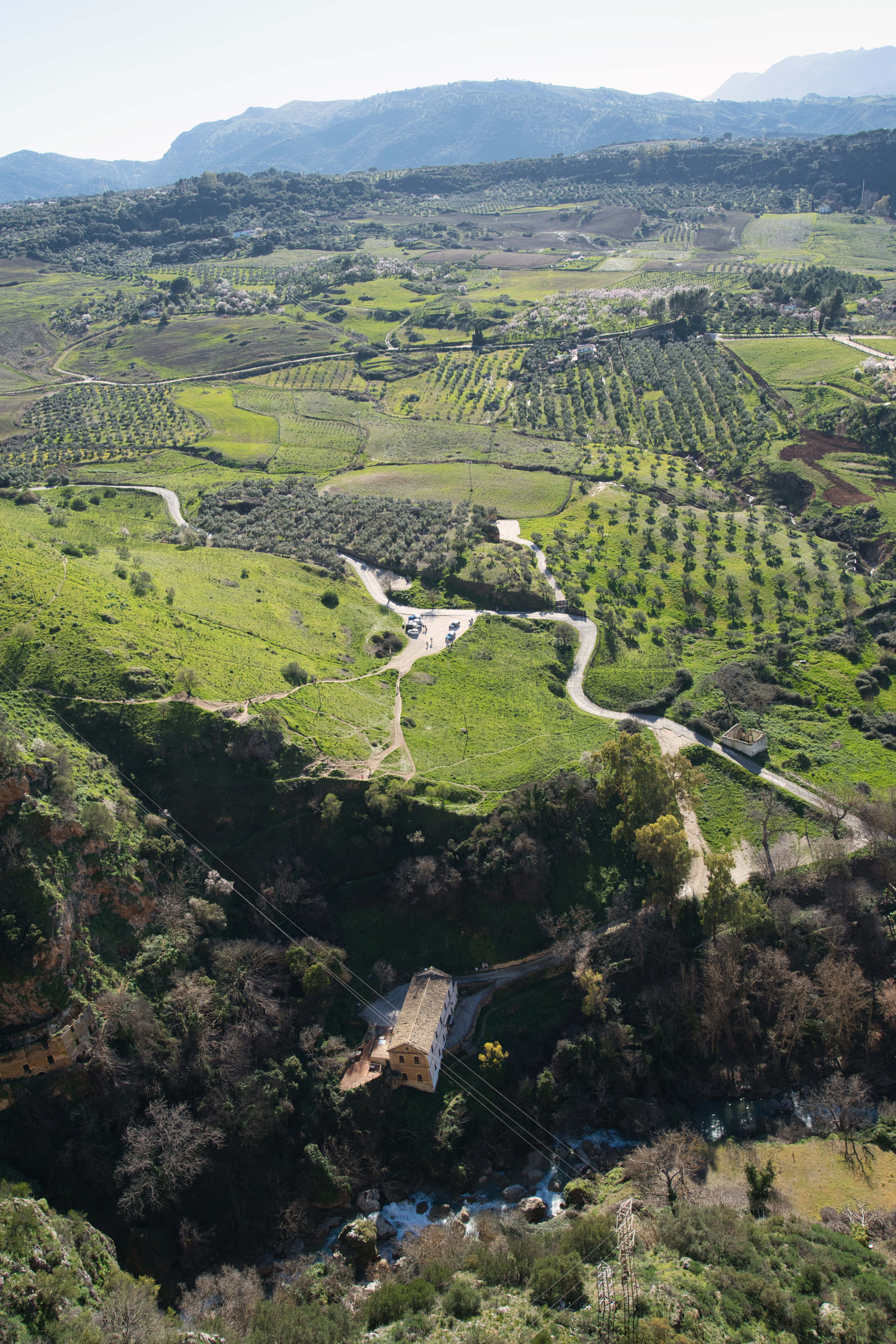 The green countryside and El Tajo gorge floor seen from a Ronda viewpoint