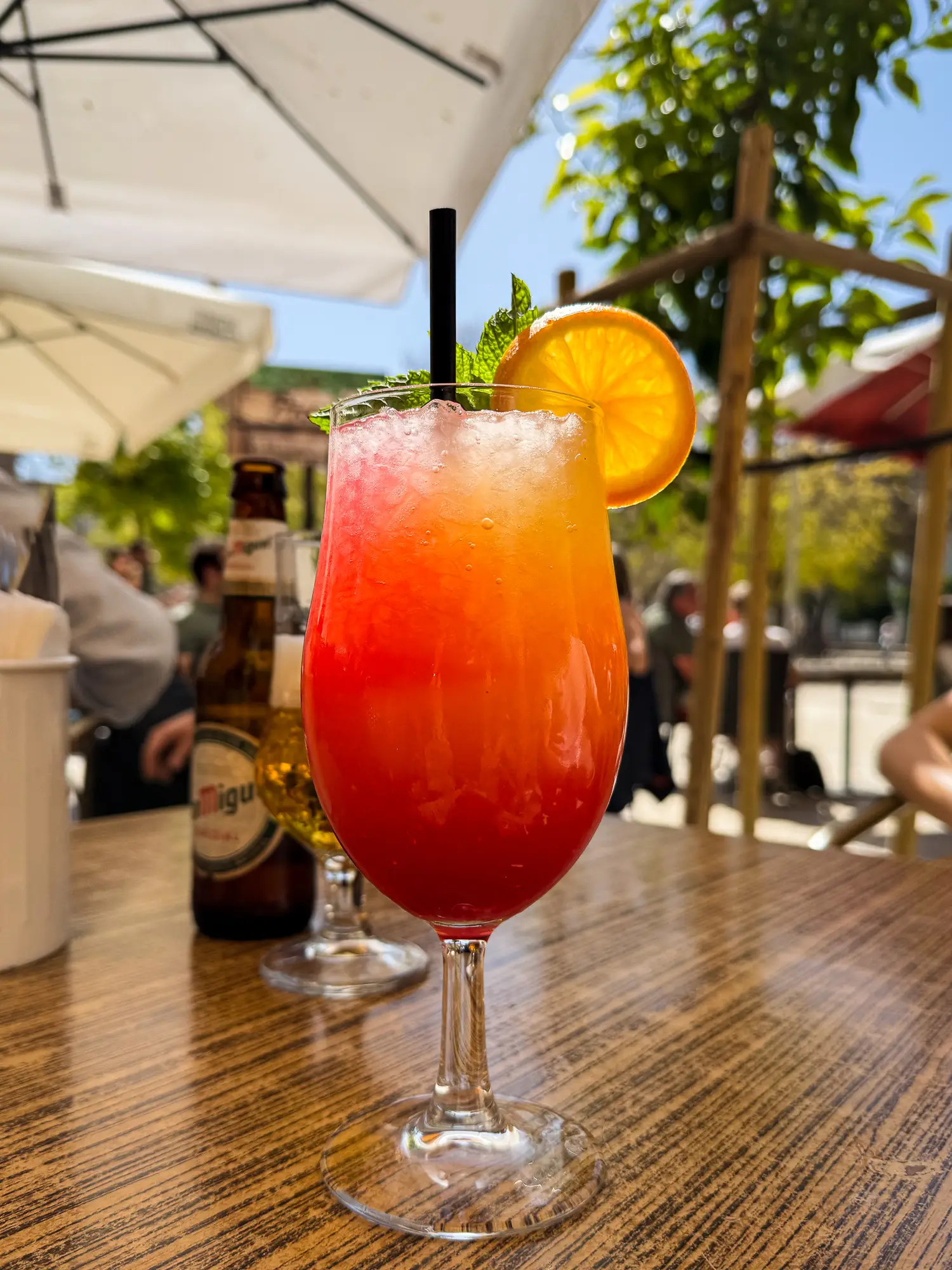 picasso bar tapas restaurantes malaga 5