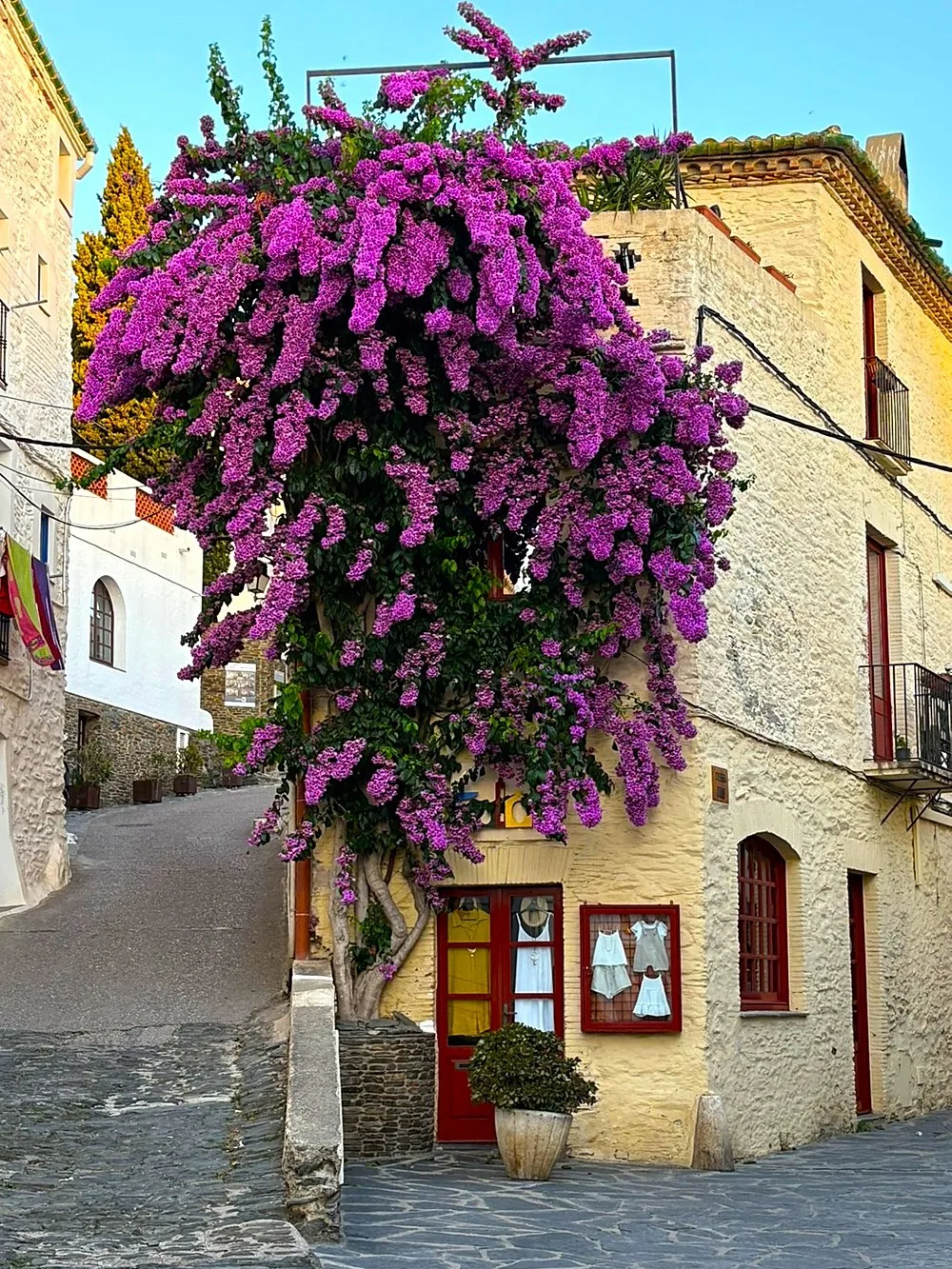 A cream-coloured corner house in Cadaqués almost buried under a huge purple bougainvillea, with a red door and a small clothes display in the window