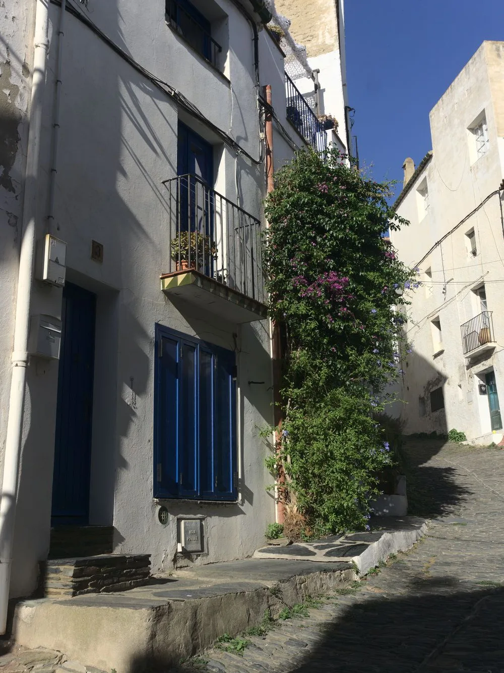 A steep cobbled lane in Cadaqués between white houses with dark blue shutters and a door, a flowering vine climbing the wall