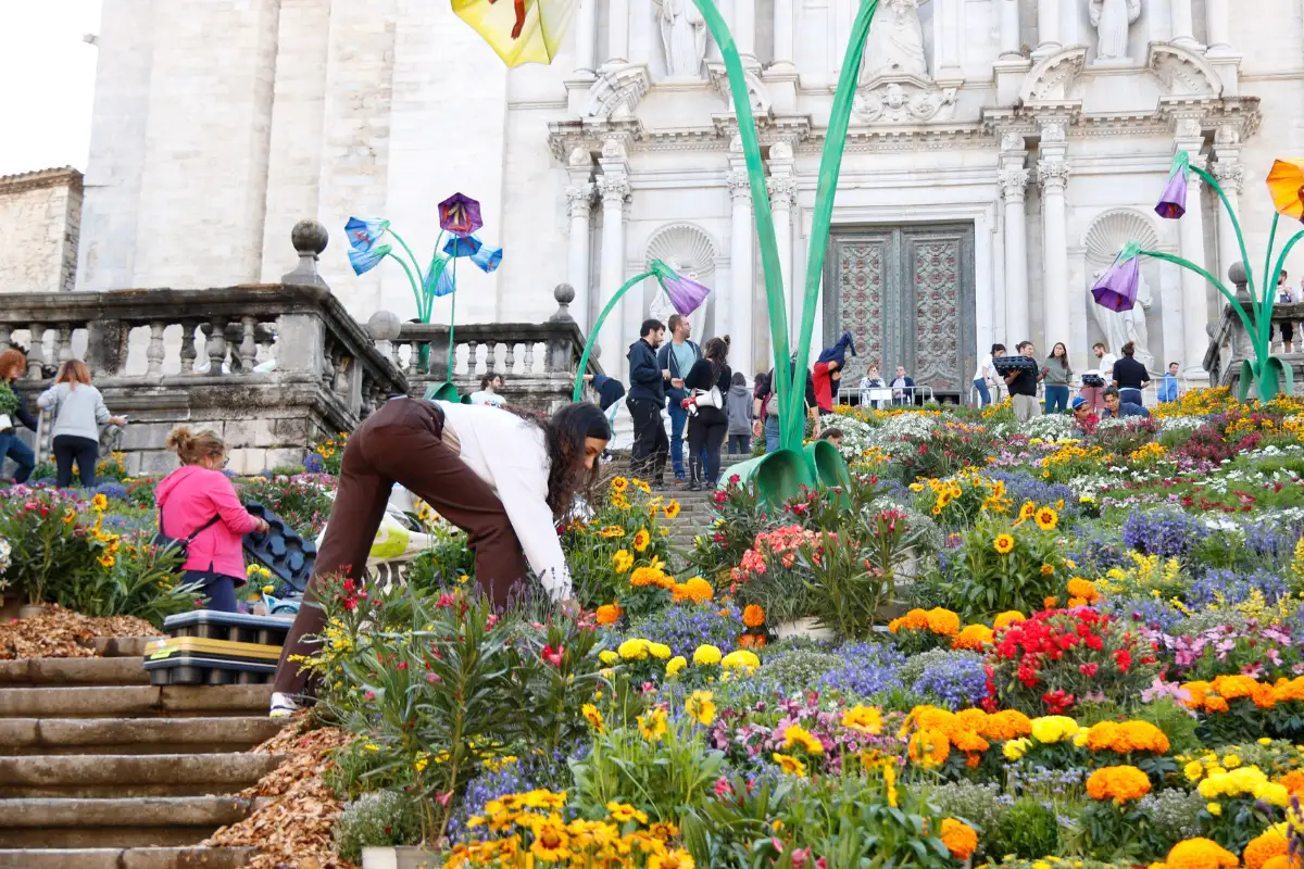 Flower-decorated street in Madrid's Barrio de Santa Cruz during early May celebrations