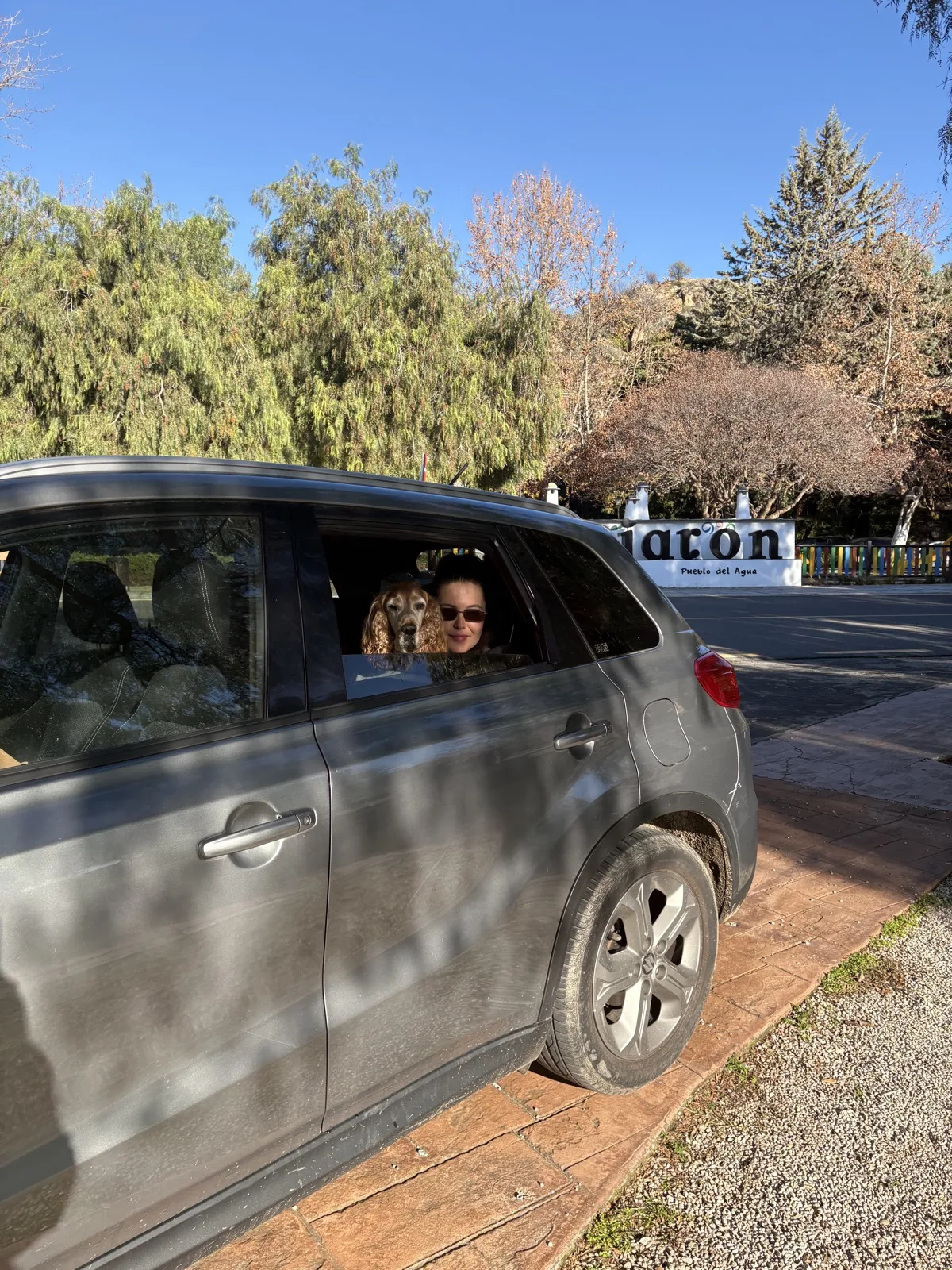Heidi and her cocker spaniel in the car, parked in a village on a sunny day