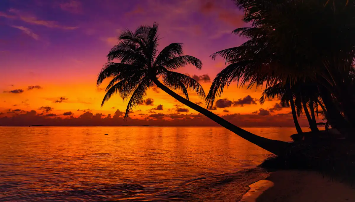 Sunset photography in Marbella