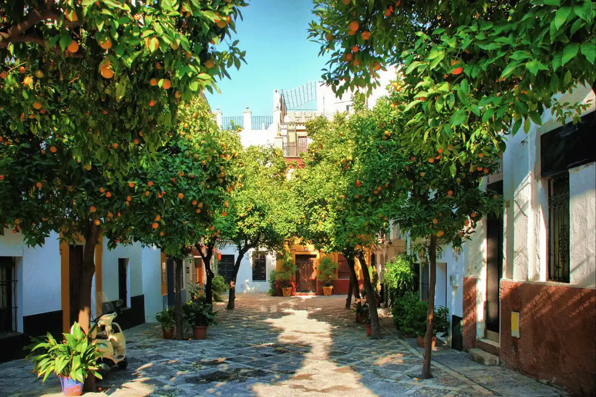 Seville neighbourhood
