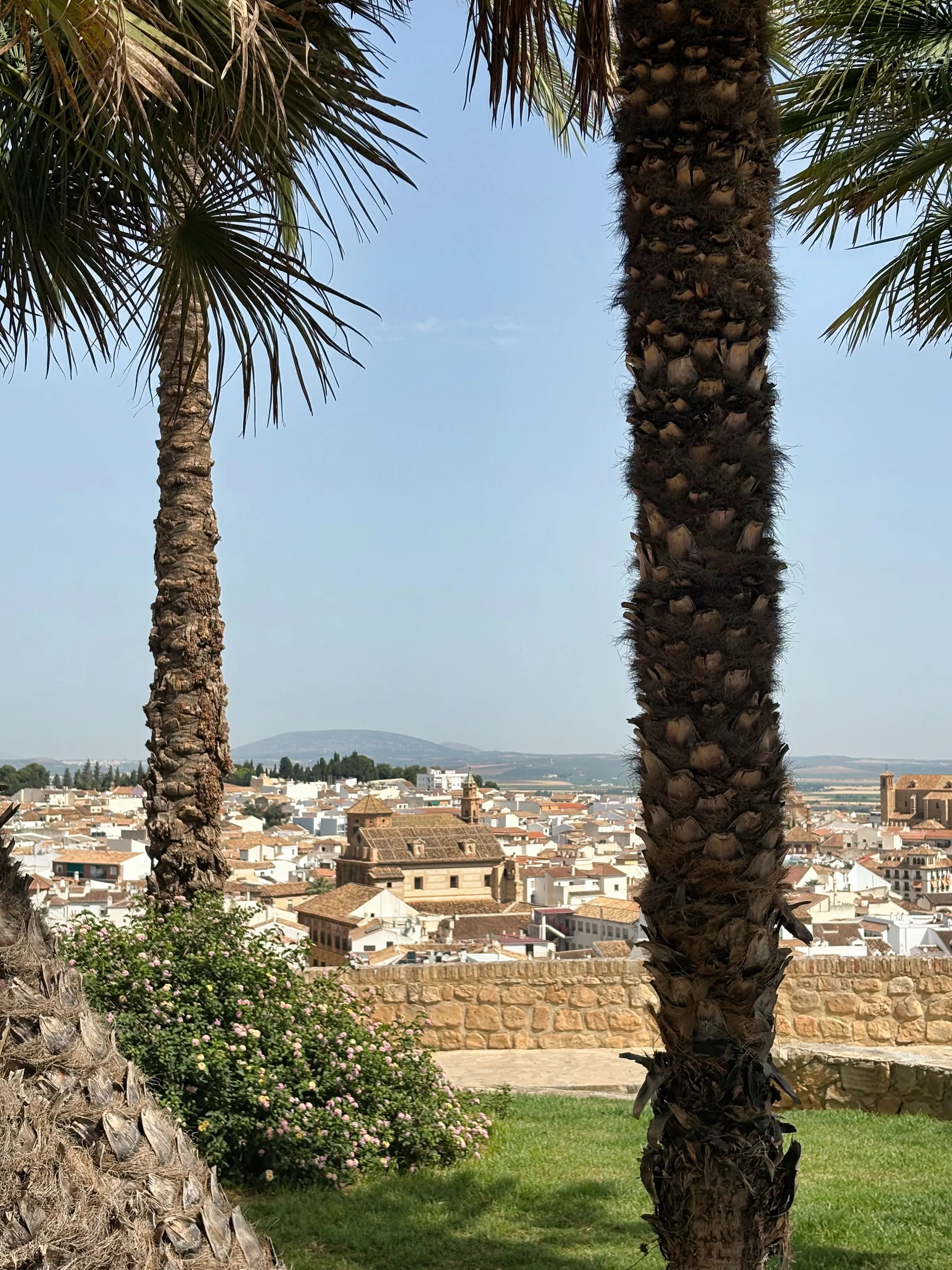 View across Antequera's rooftops at sunset
