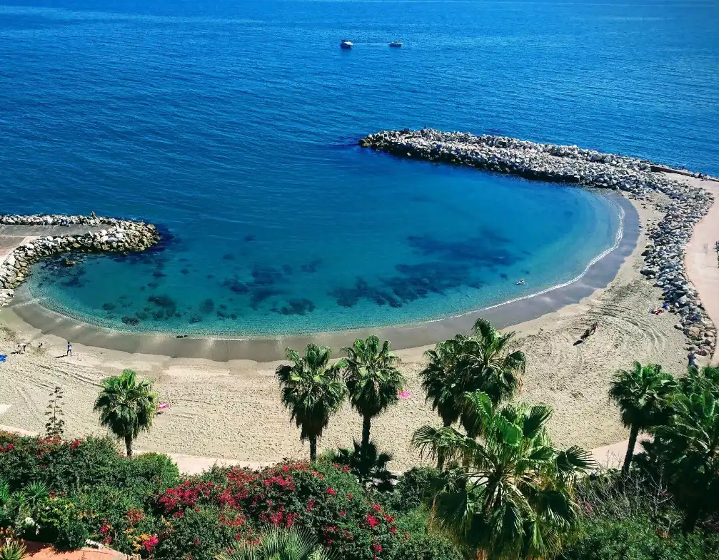 Aerial view of the small protected cove at Playa Bonita with palm trees and turquoise water