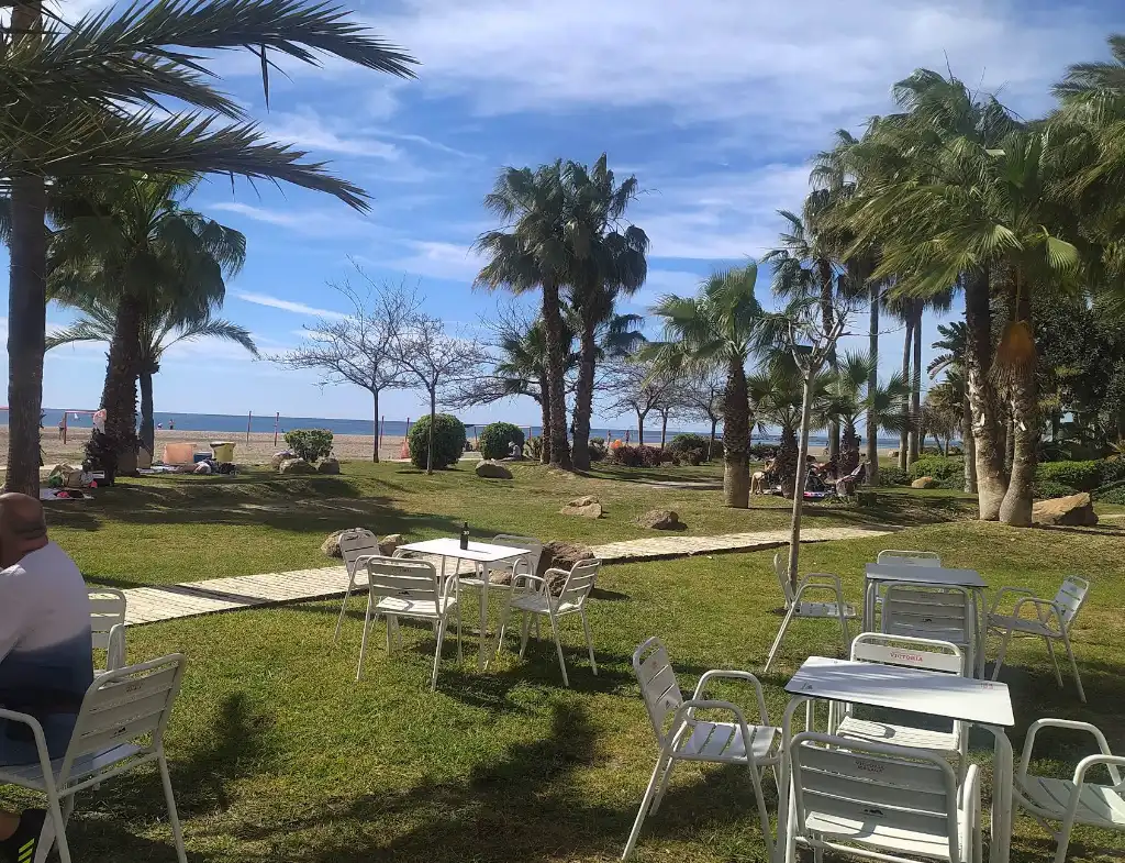 Chiringuito terrace with palm trees and the sea at Playa Malapesquera in Benalmadena