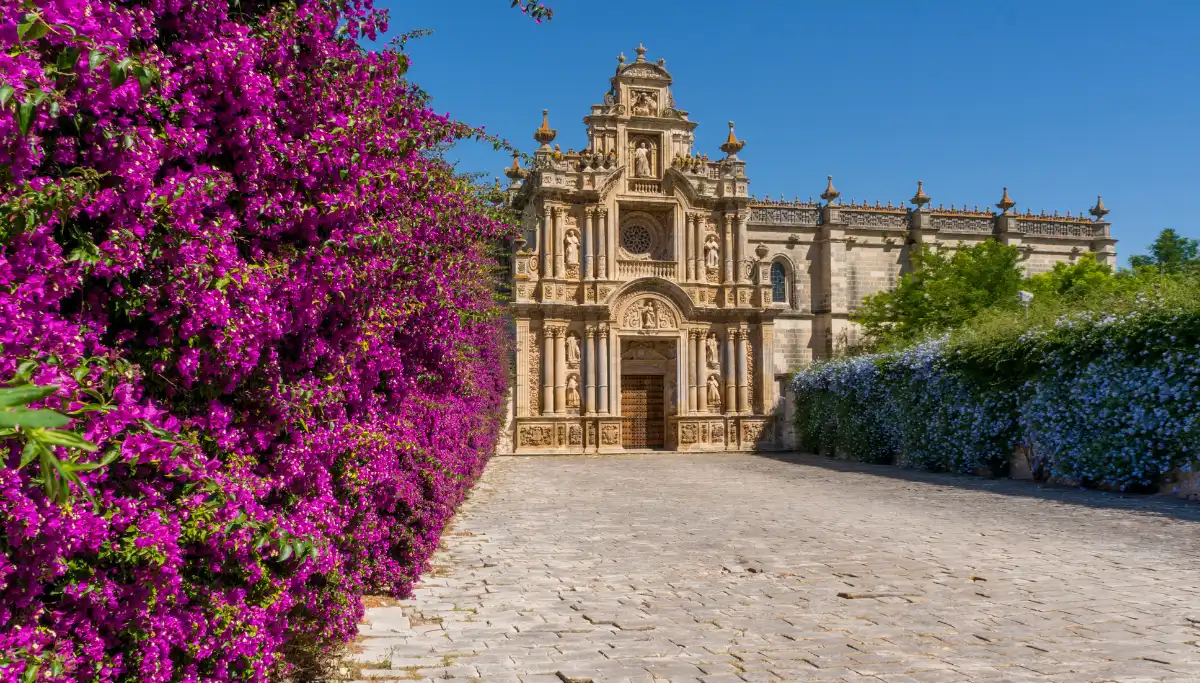 The Cartuja monastery in Jerez framed by purple bougainvillea