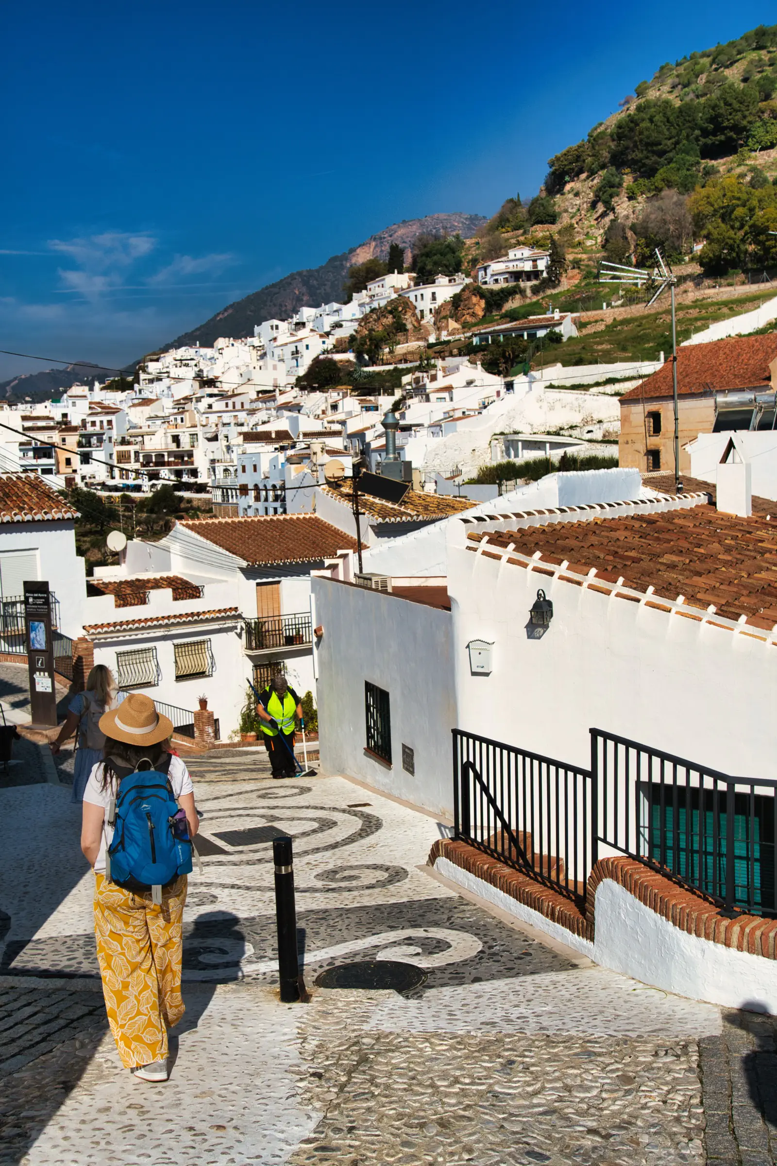 Frigiliana alley with hanging plants