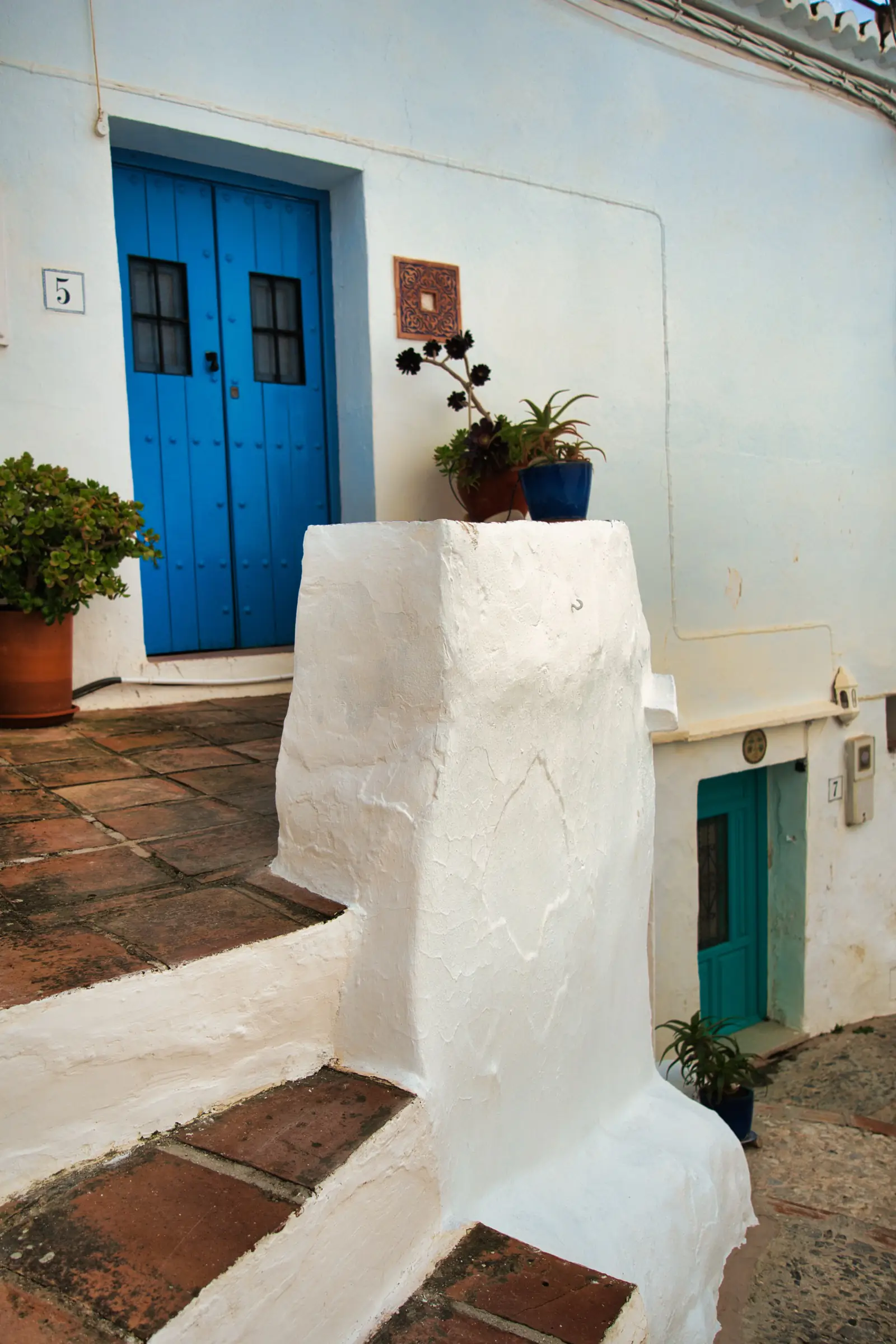 Blue door with flower pots and steps