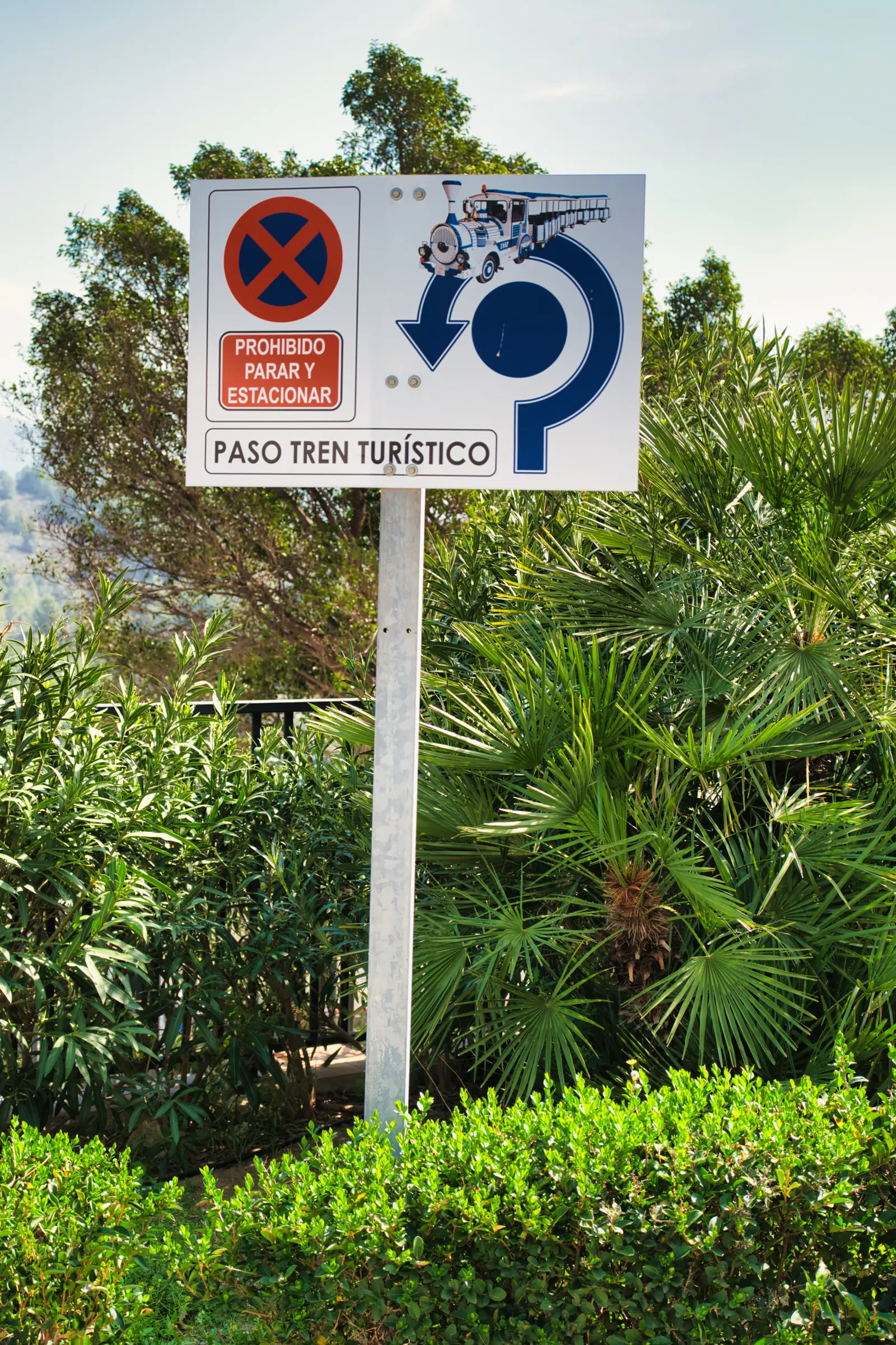 Traffic sign showing trains only.