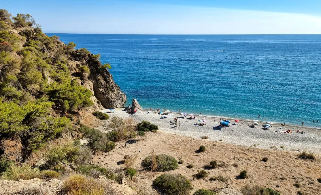 Pine-backed sandy coves at Las Calas del Pino on the eastern Costa del Sol