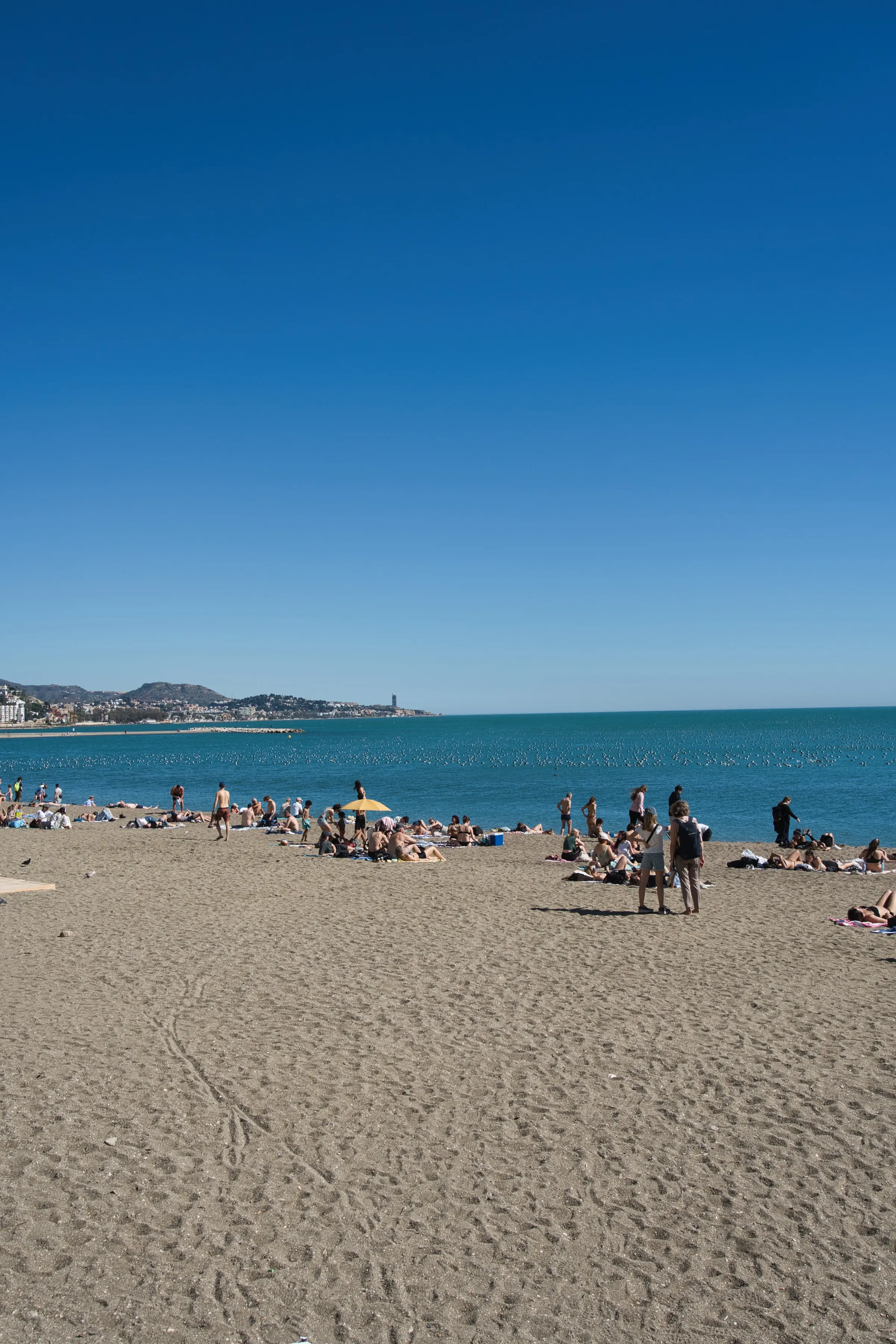 Malagueta beach in August