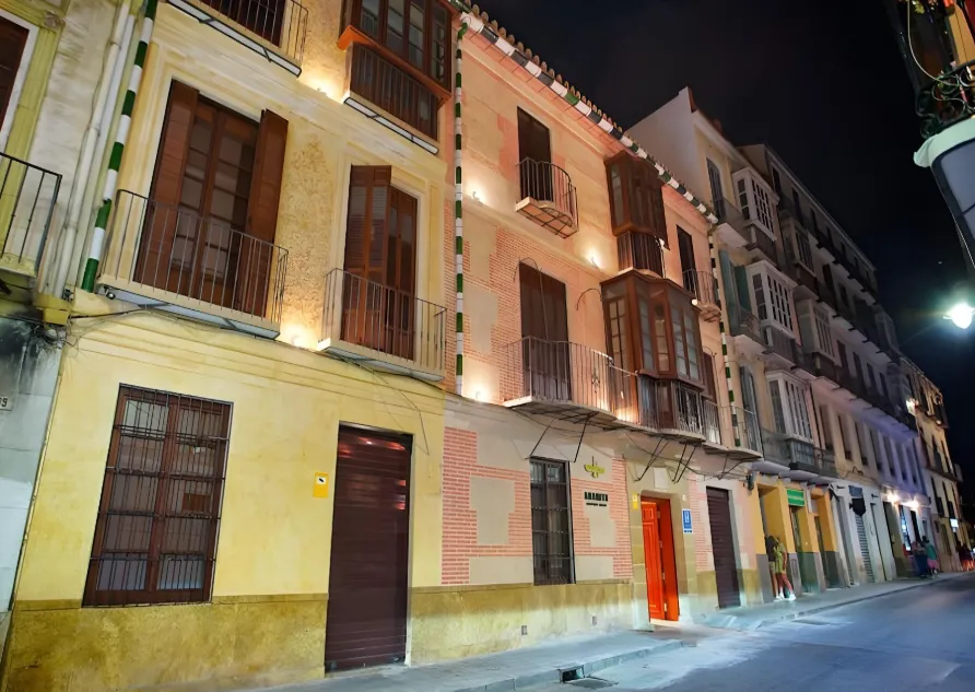 Anahita Boutique Hotel elegant restored 19th-century palace near Plaza de la Merced in Malaga