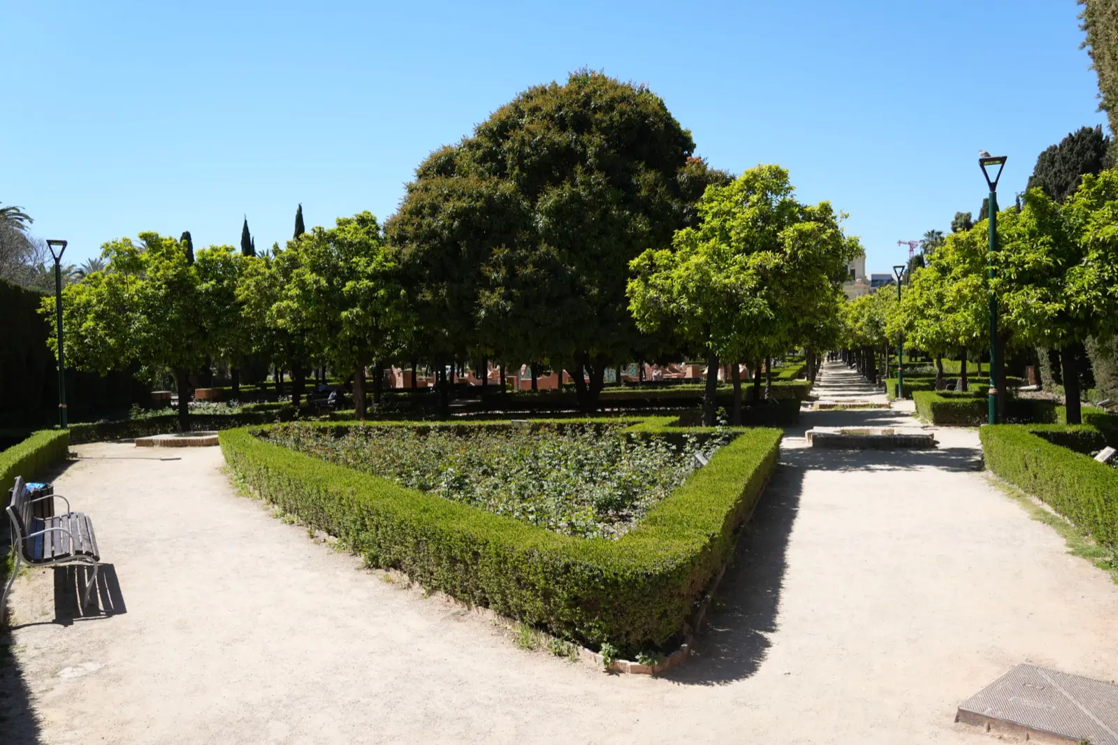Wide view of Malaga's botanical garden and park